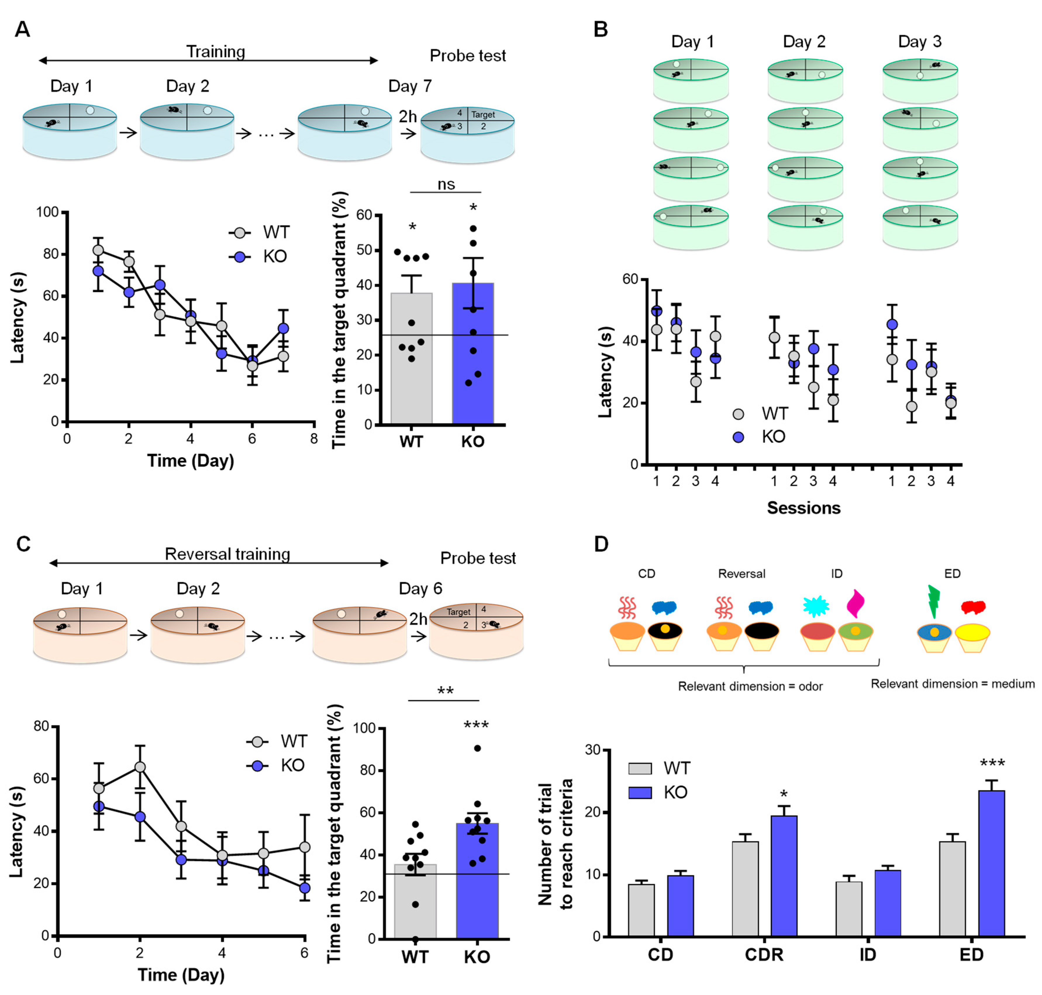 Biomolecules 13 00511 g003 Biomolecules 13 00511 g003