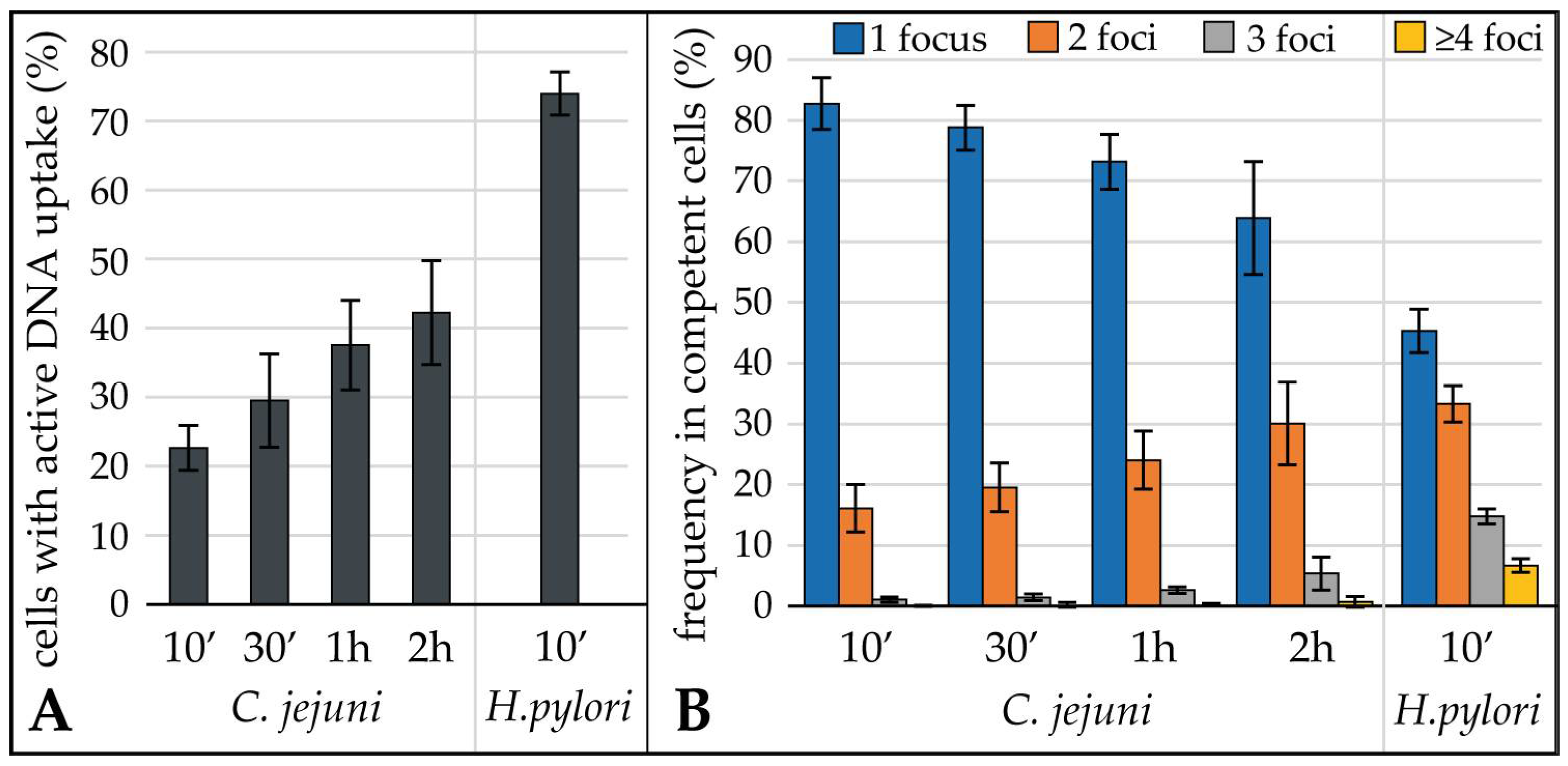 Biomolecules 13 00514 g002 Biomolecules 13 00514 g002
