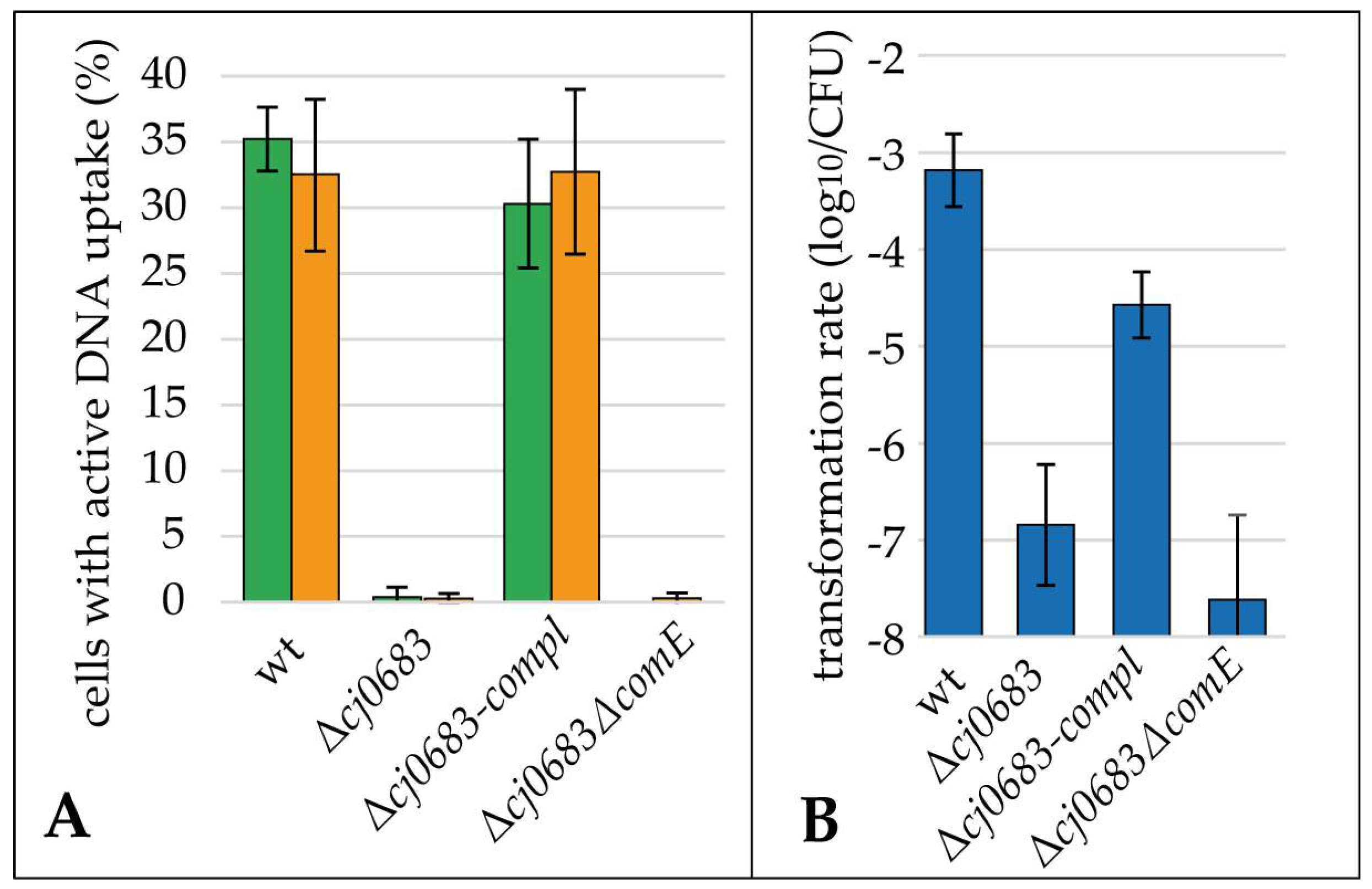 Biomolecules 13 00514 g006 Biomolecules 13 00514 g006