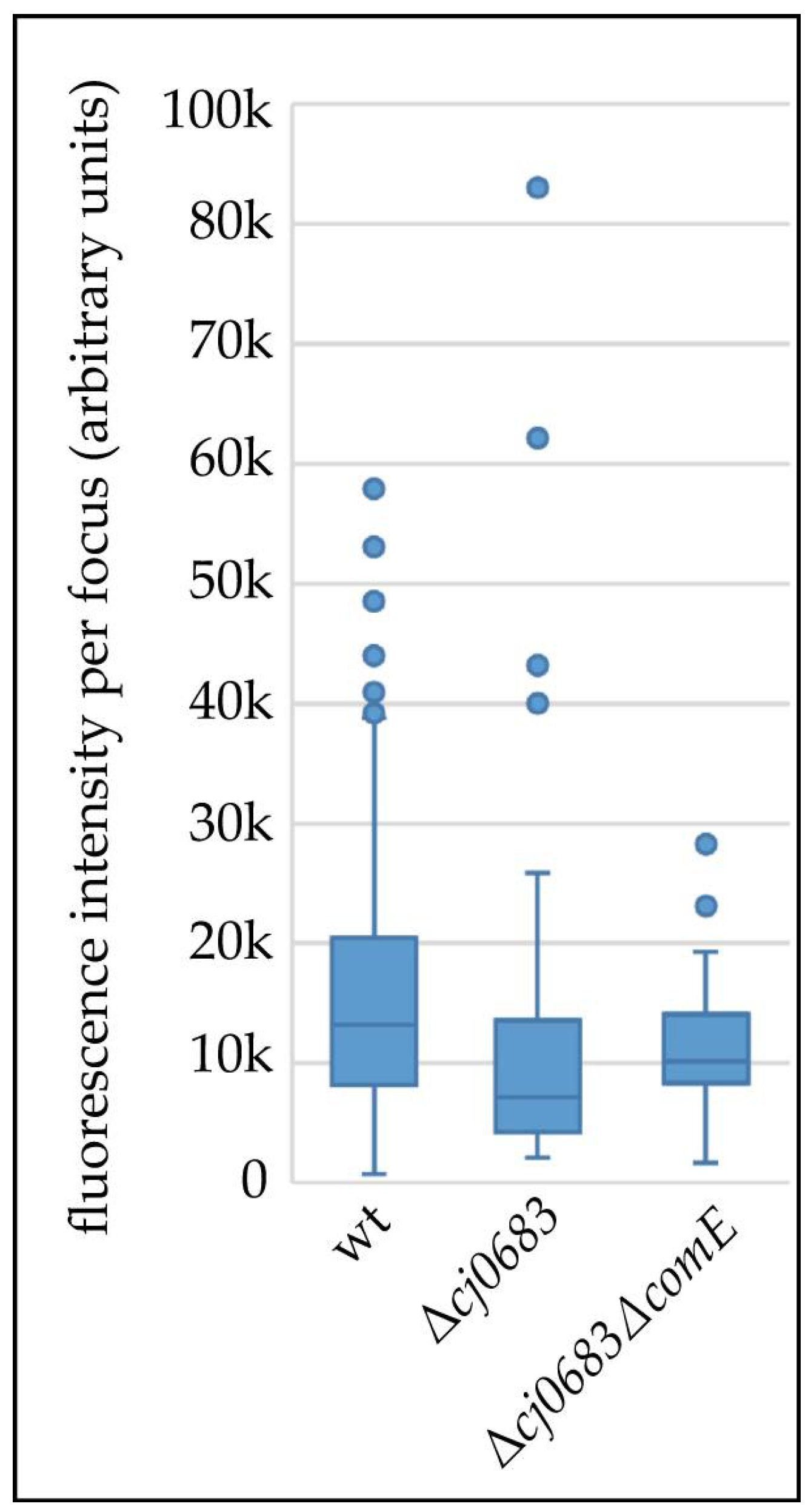 Biomolecules 13 00514 g007 Biomolecules 13 00514 g007