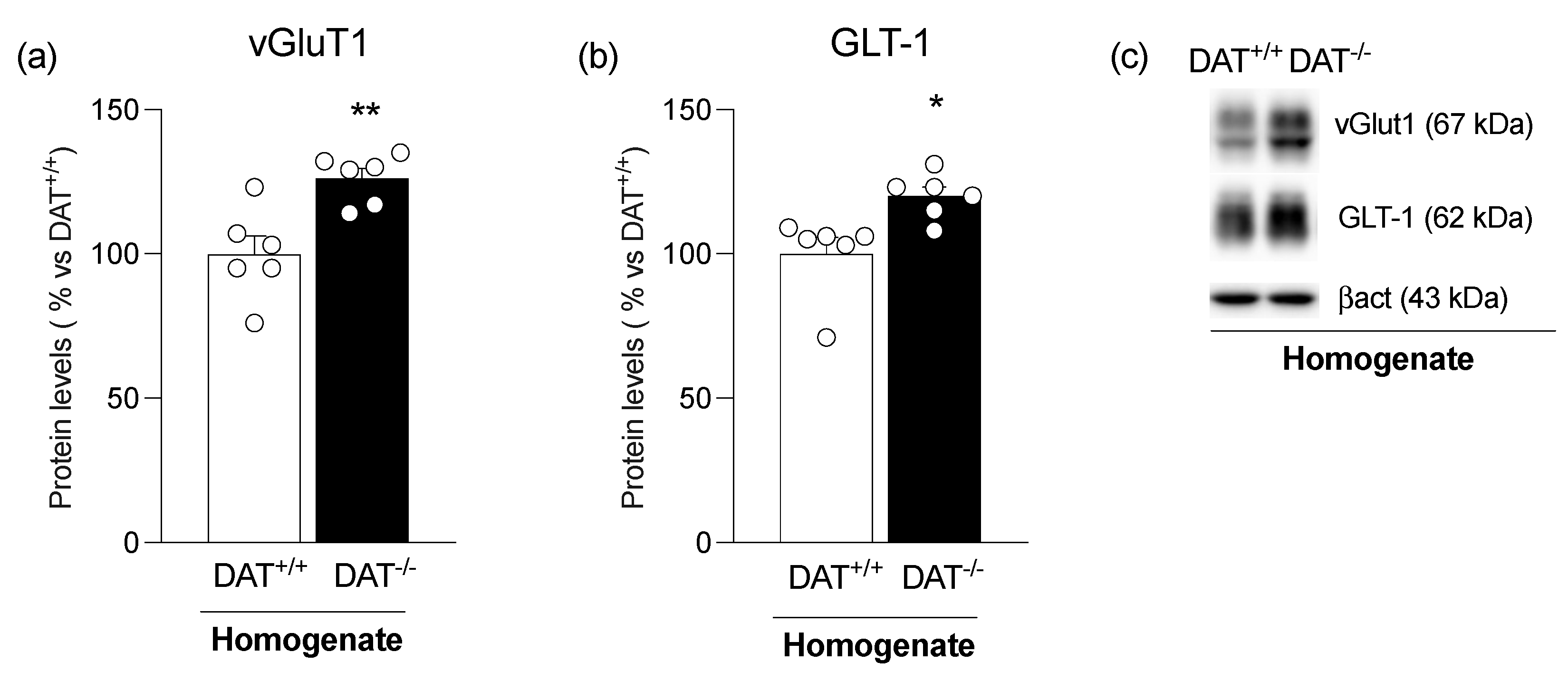 Biomolecules 13 00516 g001