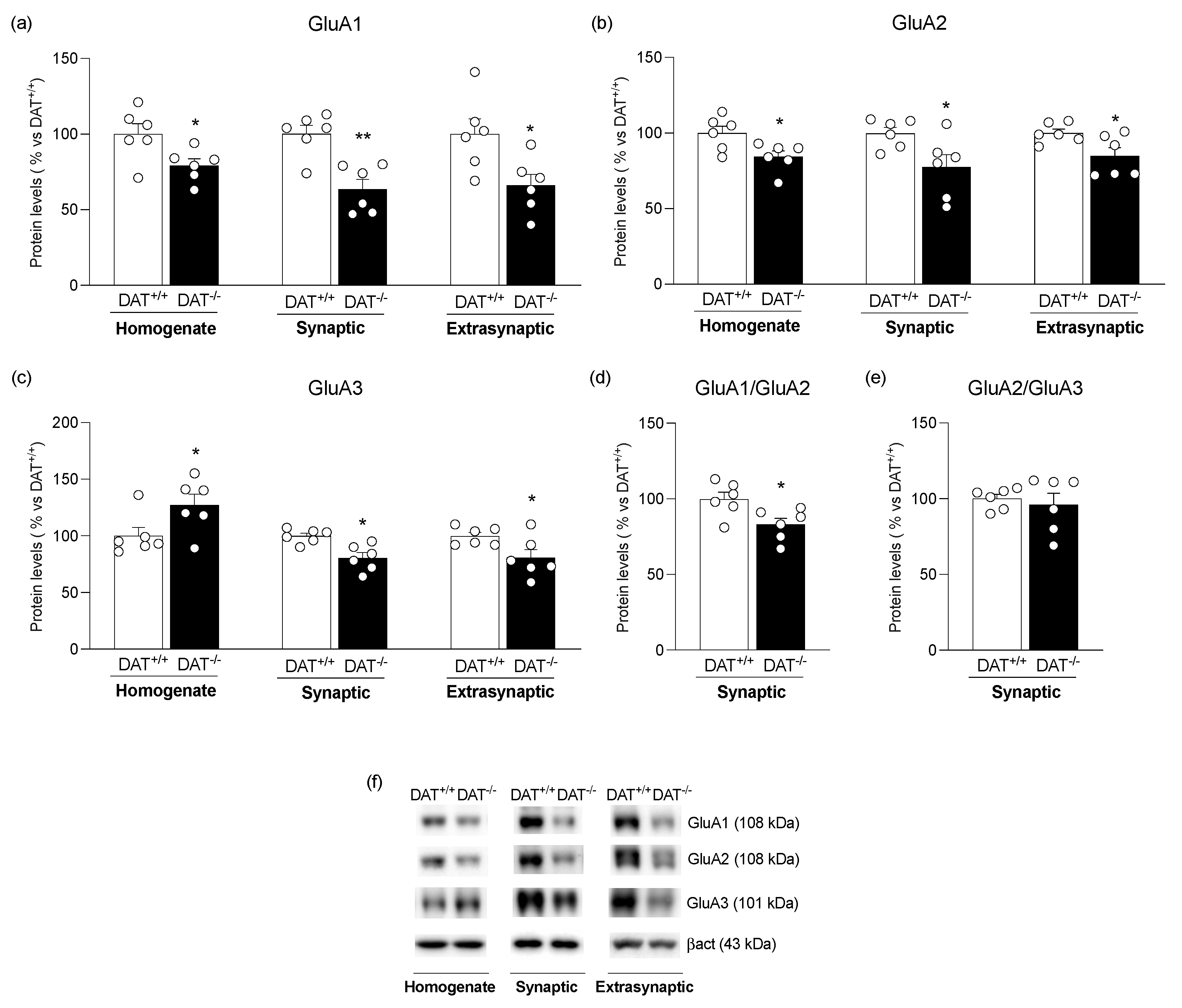 Biomolecules 13 00516 g002
