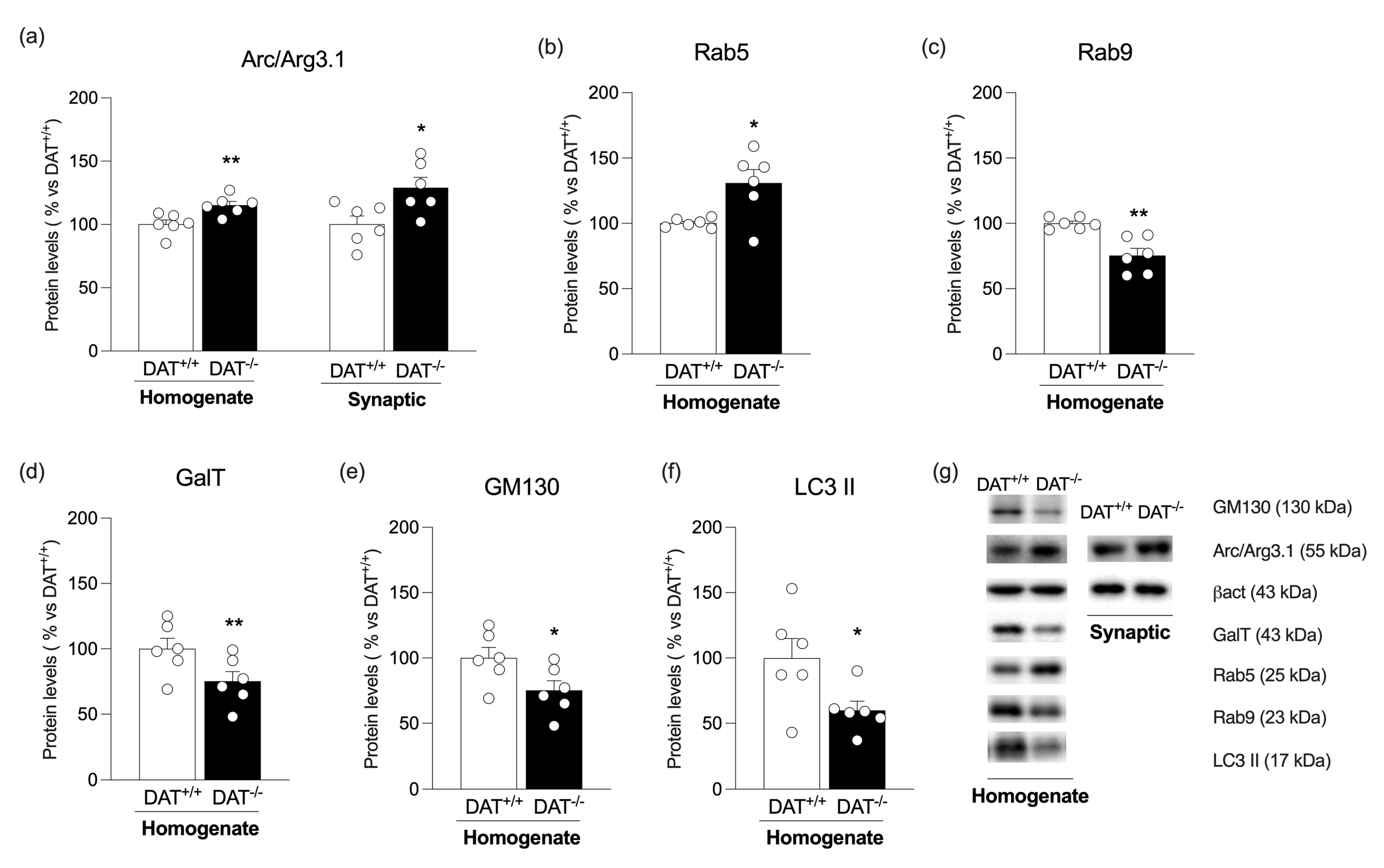 Biomolecules 13 00516 g004