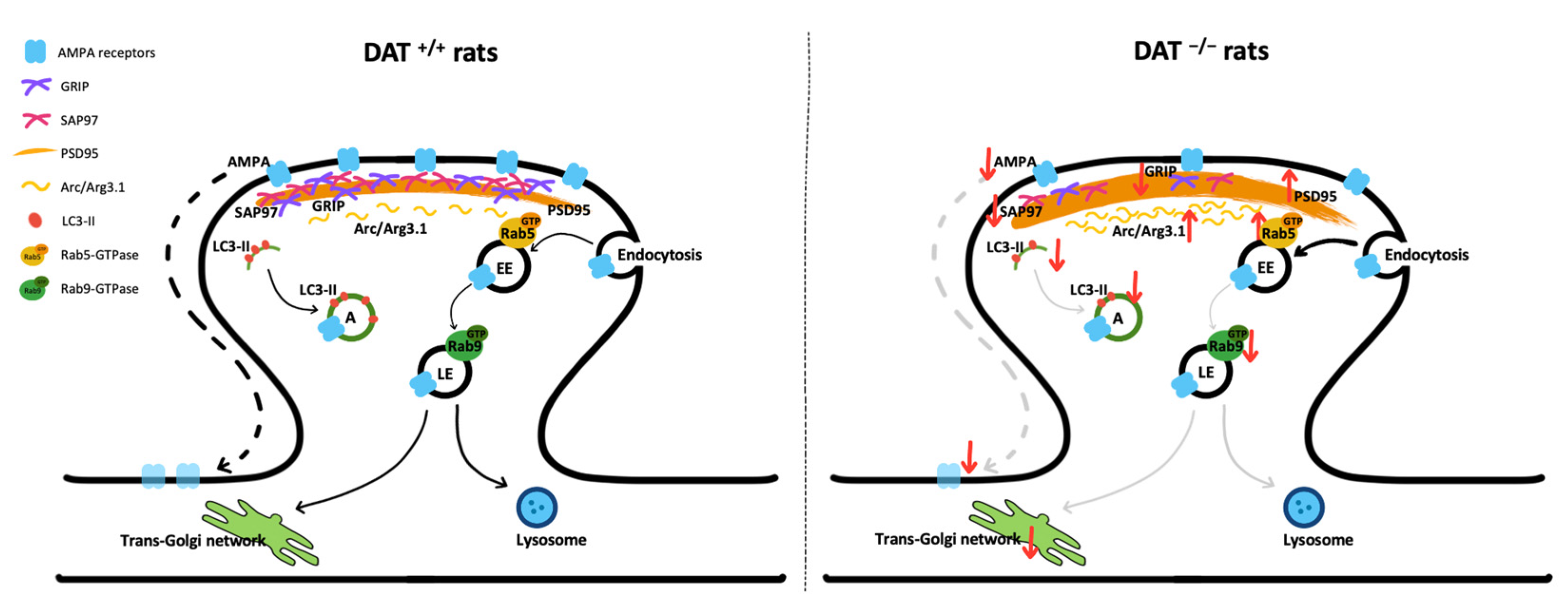 Biomolecules 13 00516 g006