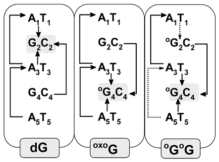 Biomolecules 13 00517 i002 Biomolecules 13 00517 i002