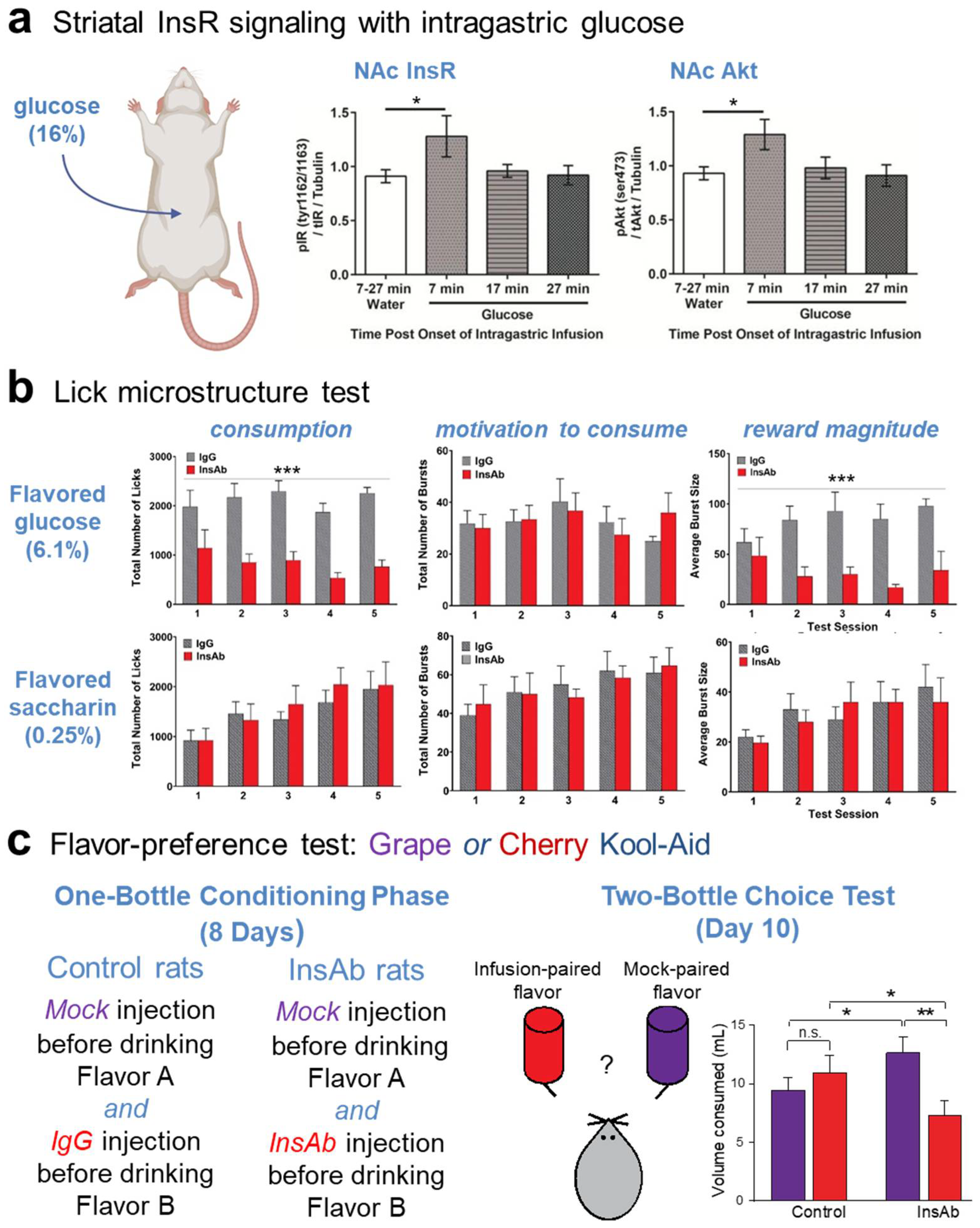 Biomolecules 13 00518 g004 Biomolecules 13 00518 g004