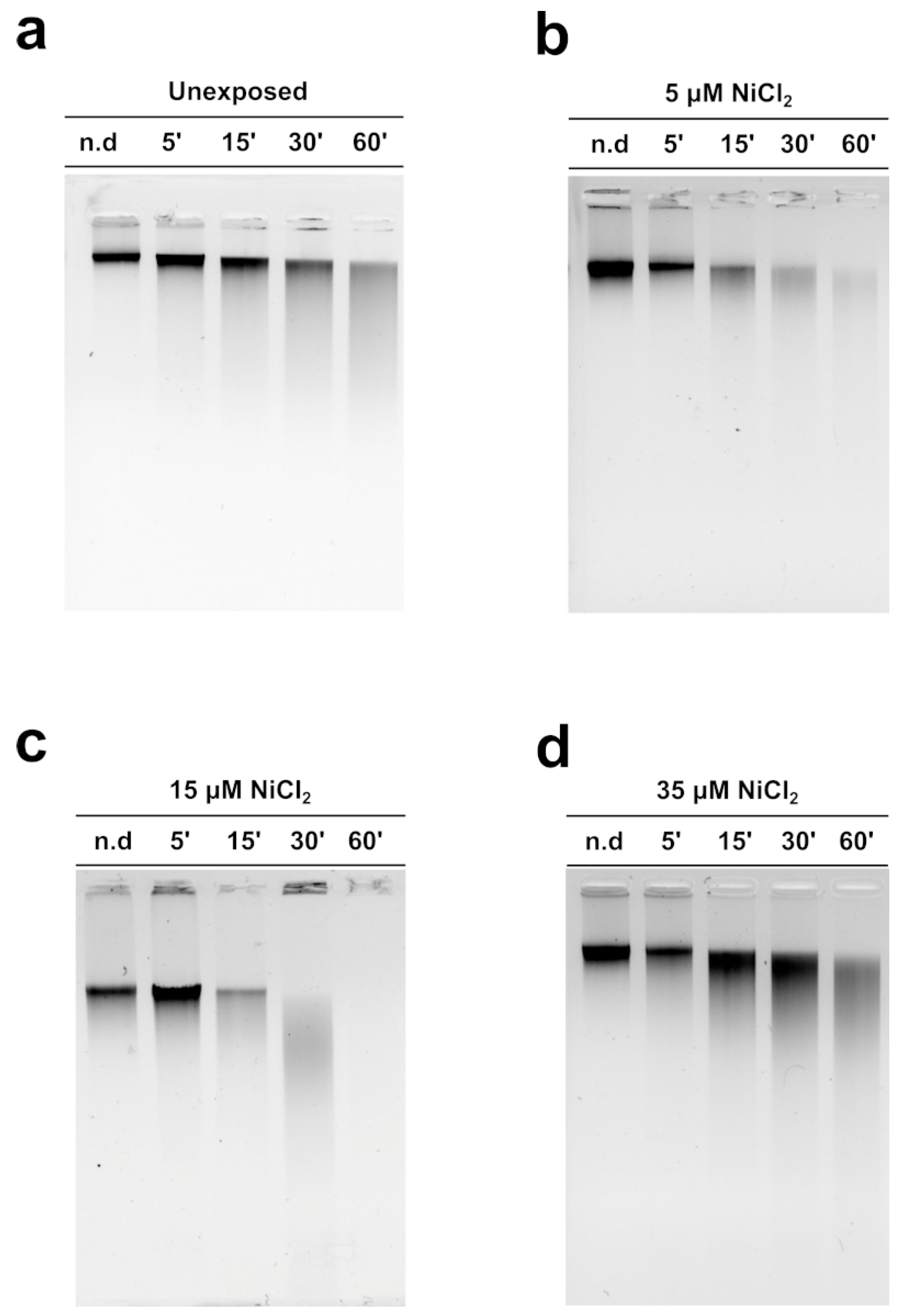 Biomolecules 13 00520 g005 Biomolecules 13 00520 g005