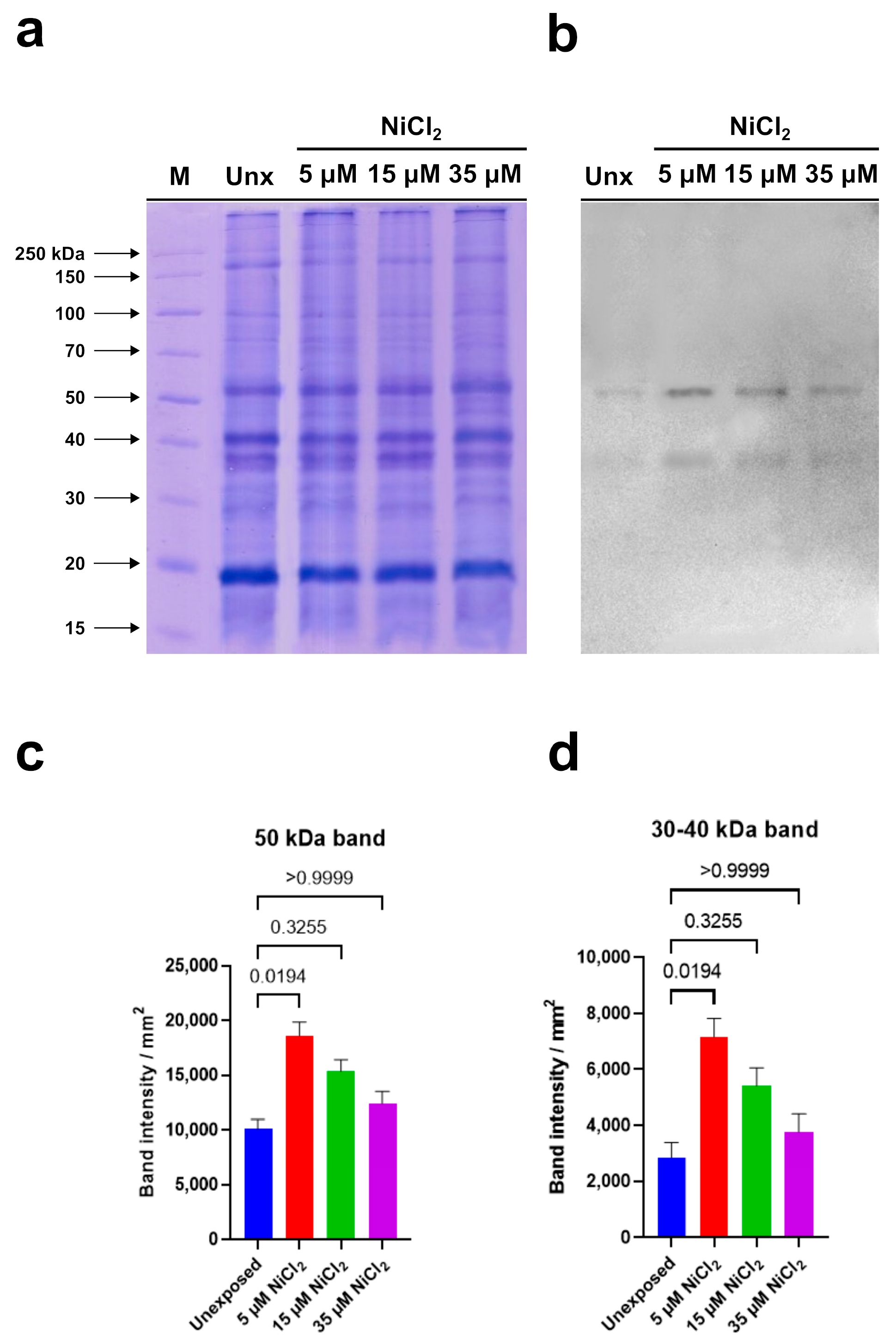 Biomolecules 13 00520 g006 Biomolecules 13 00520 g006