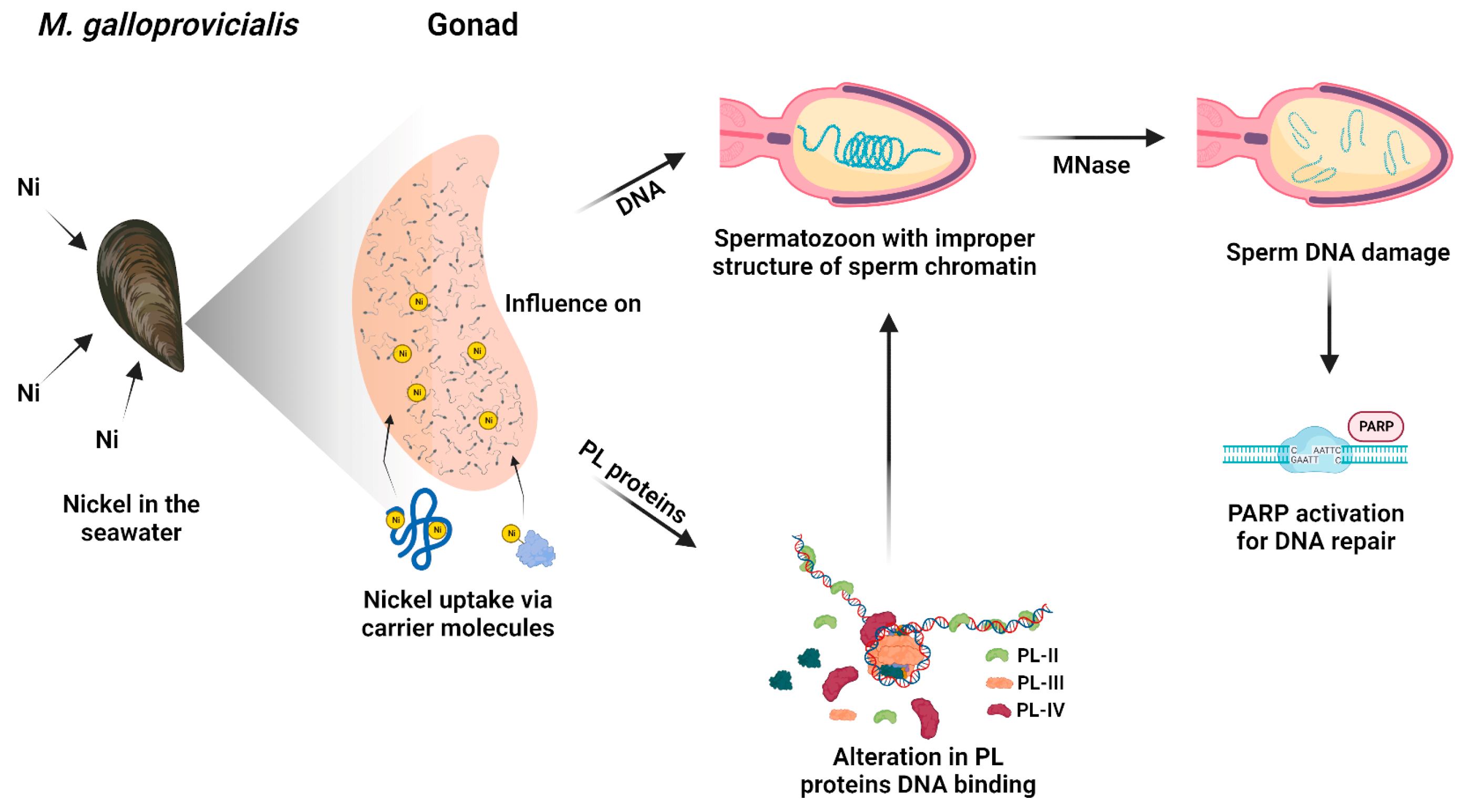 Biomolecules 13 00520 g007 Biomolecules 13 00520 g007