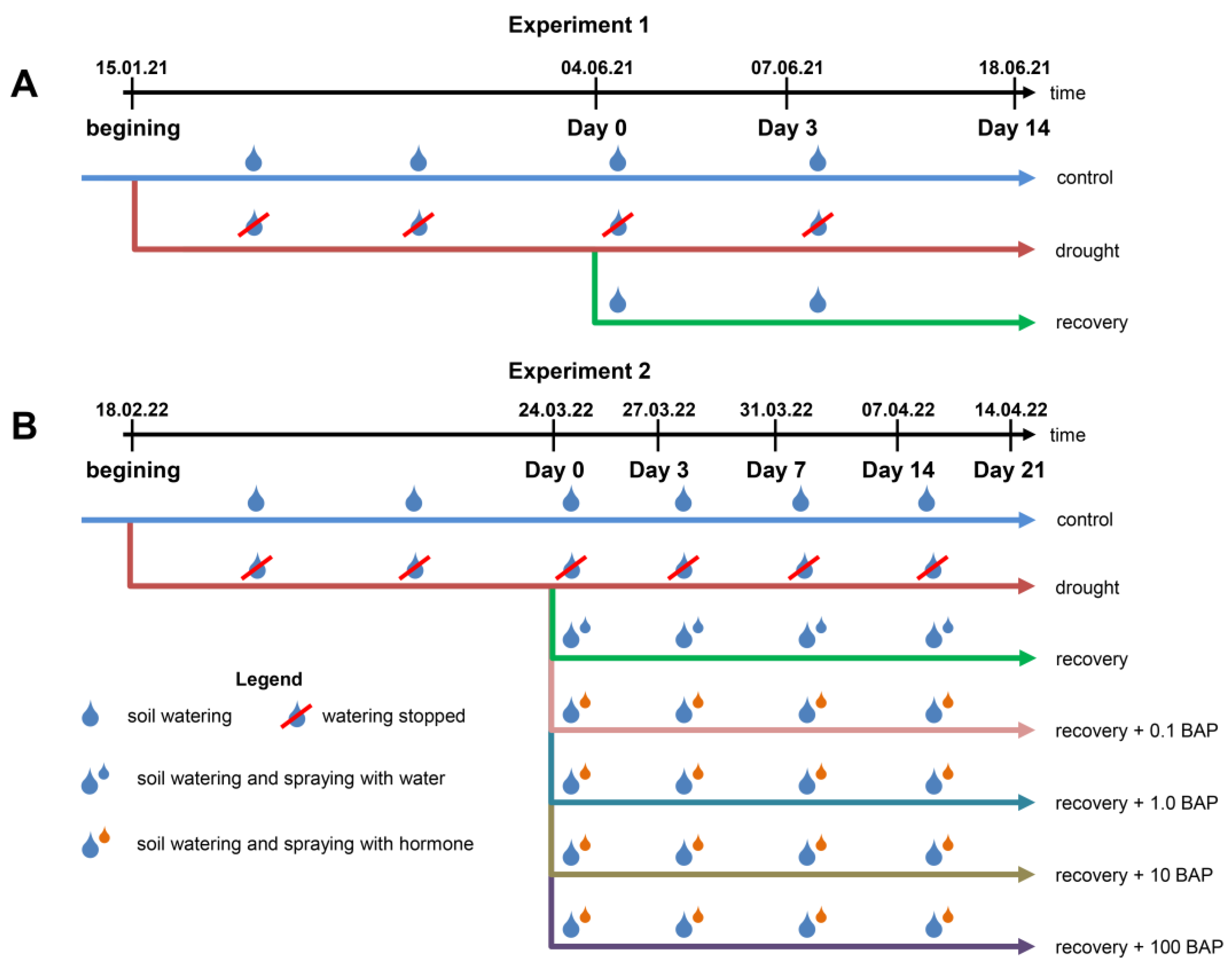 Biomolecules 13 00523 g001