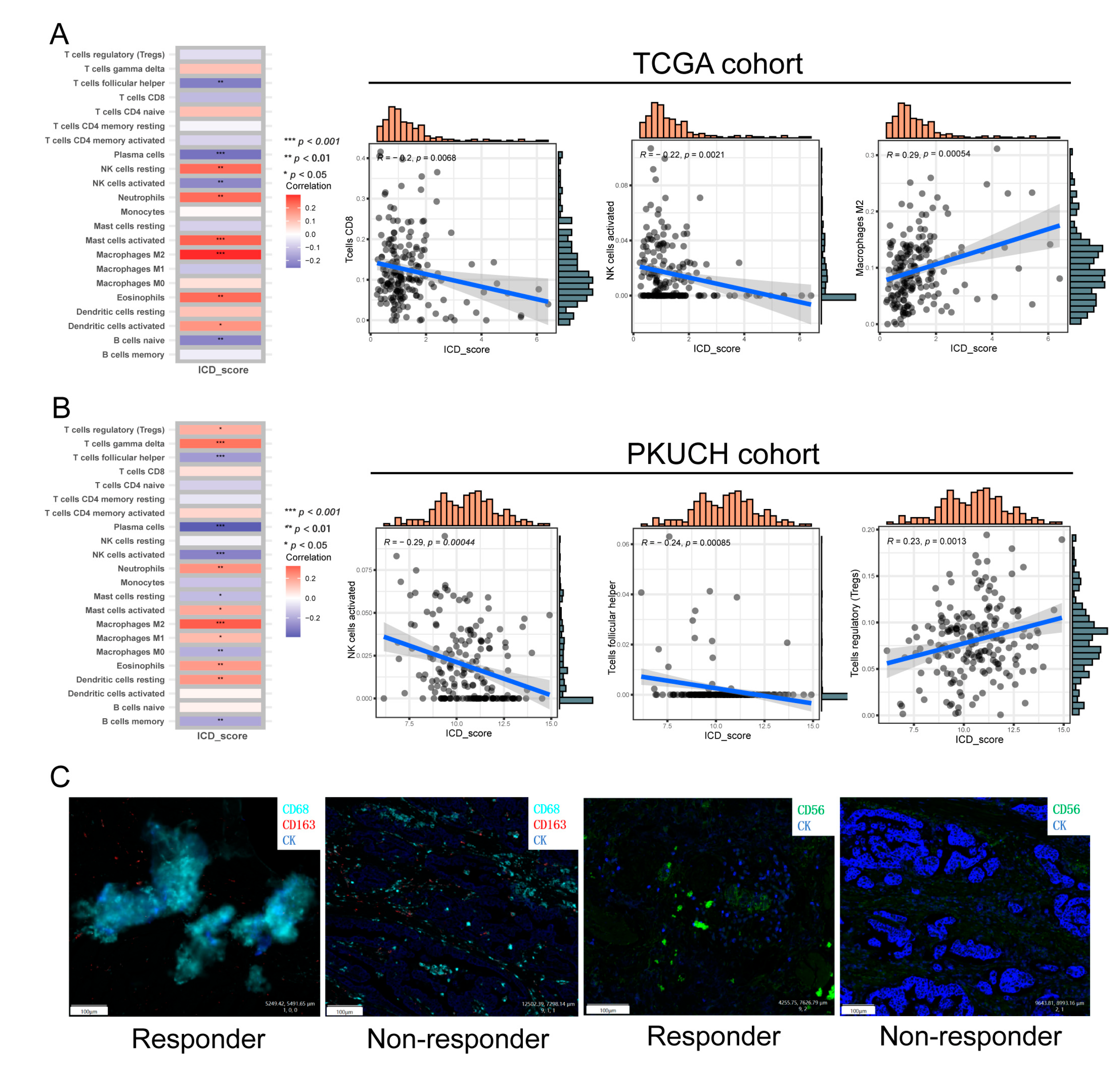 Biomolecules 13 00528 g007 Biomolecules 13 00528 g007
