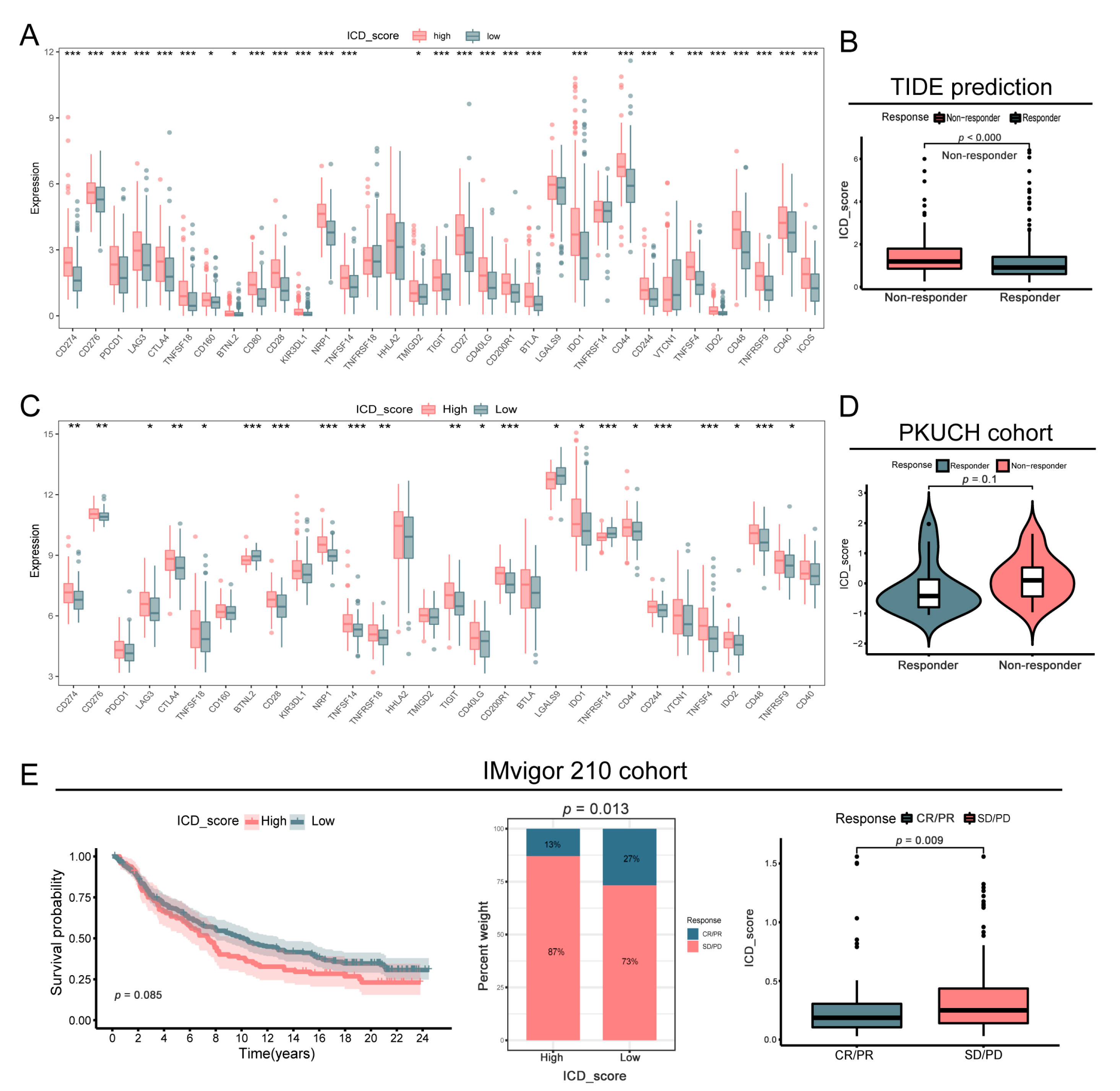 Biomolecules 13 00528 g008 Biomolecules 13 00528 g008