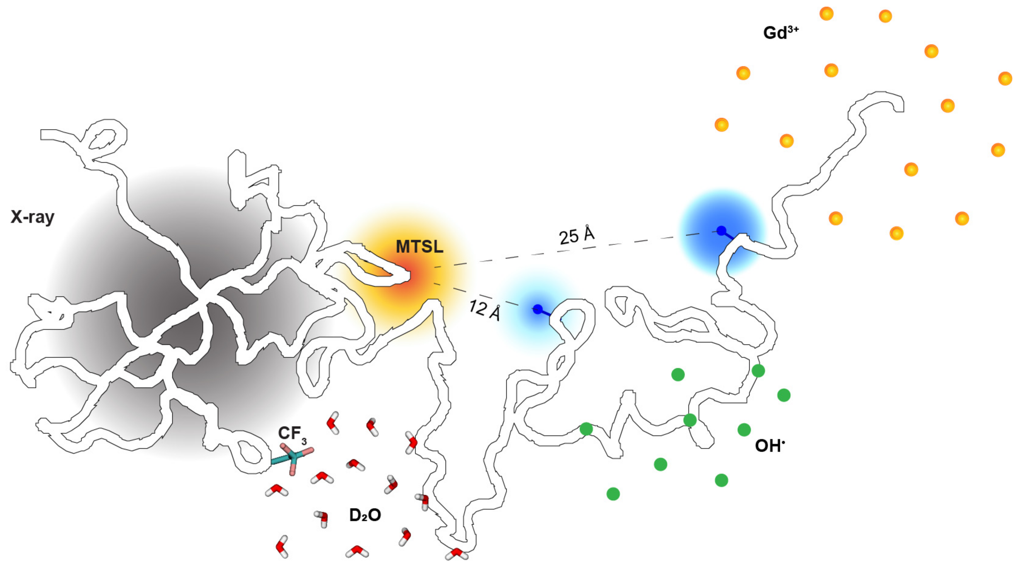 Global mode structure of EGAM in the case of exponentially small EGAM