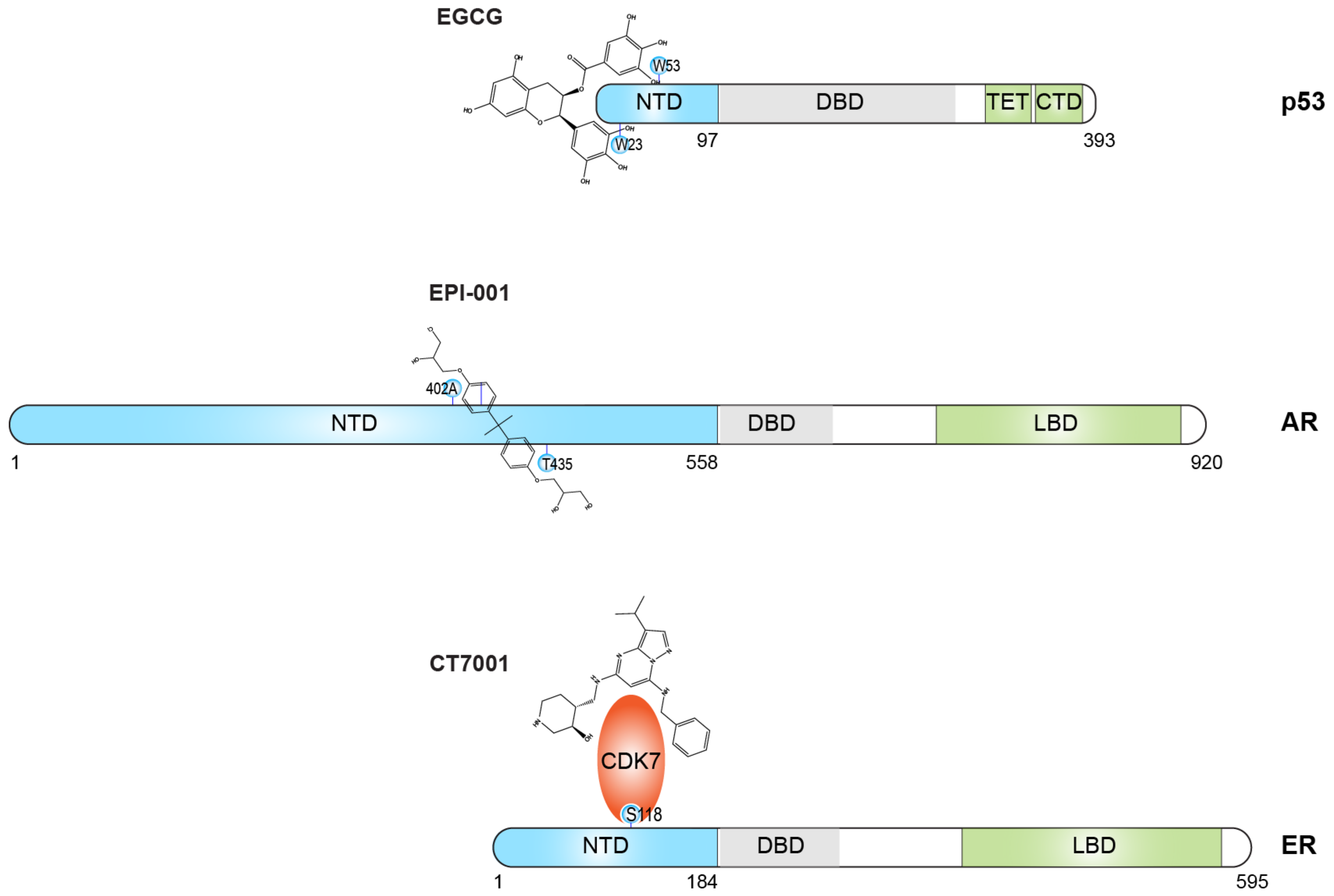Biomolecules 13 00530 g004 Biomolecules 13 00530 g004