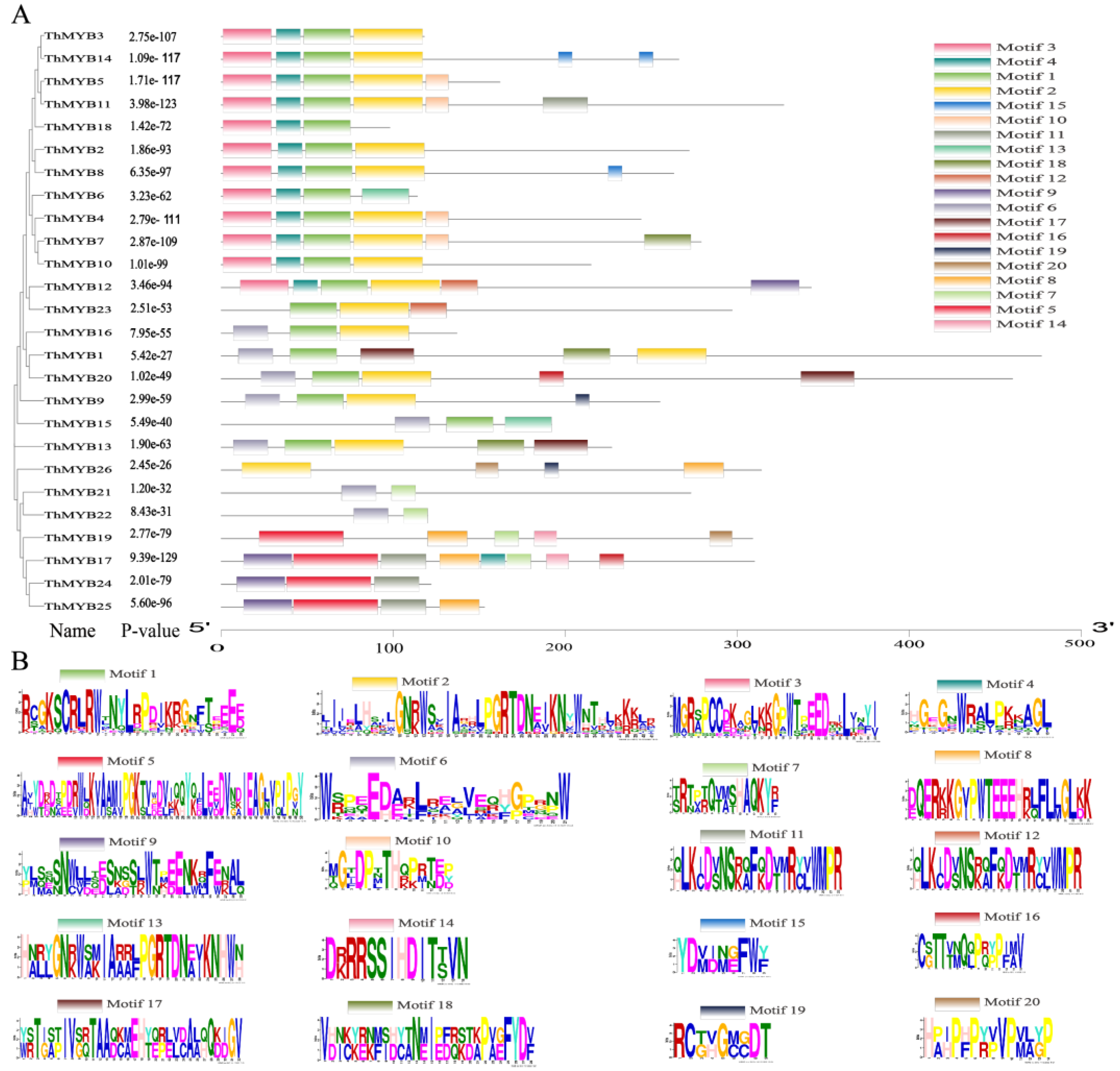 Biomolecules 13 00531 g001 Biomolecules 13 00531 g001