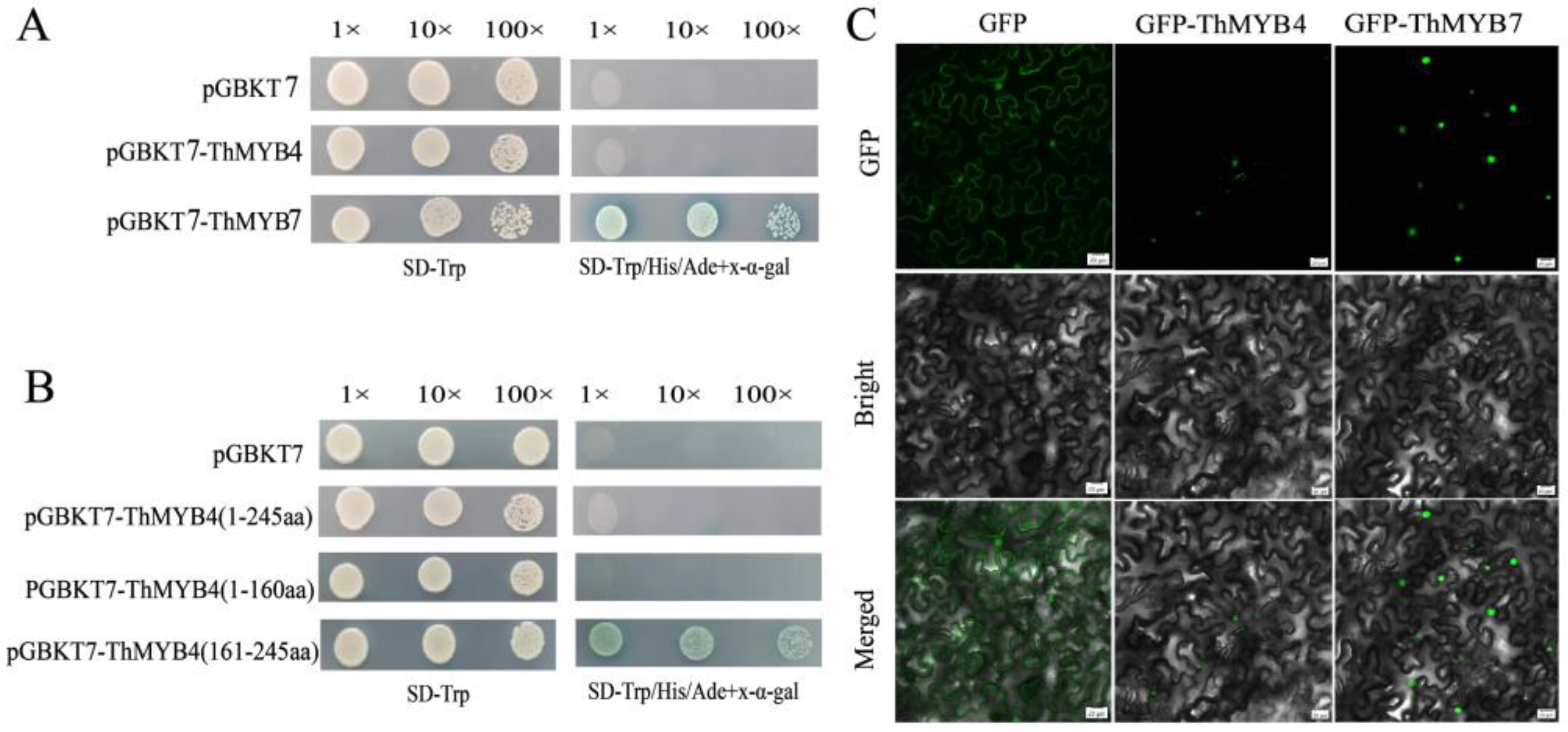 Biomolecules 13 00531 g005 Biomolecules 13 00531 g005