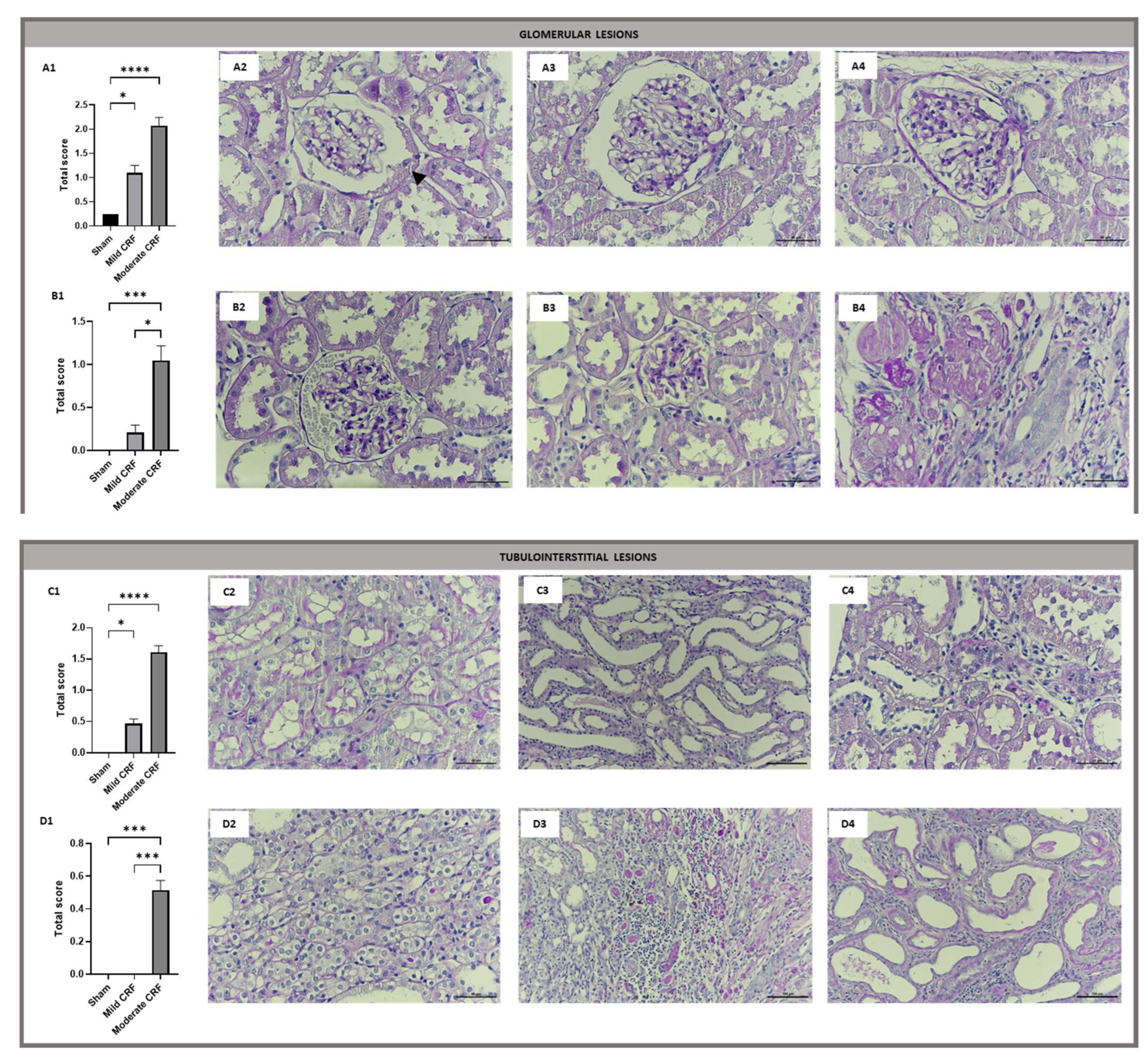 Biomolecules 13 00534 g001