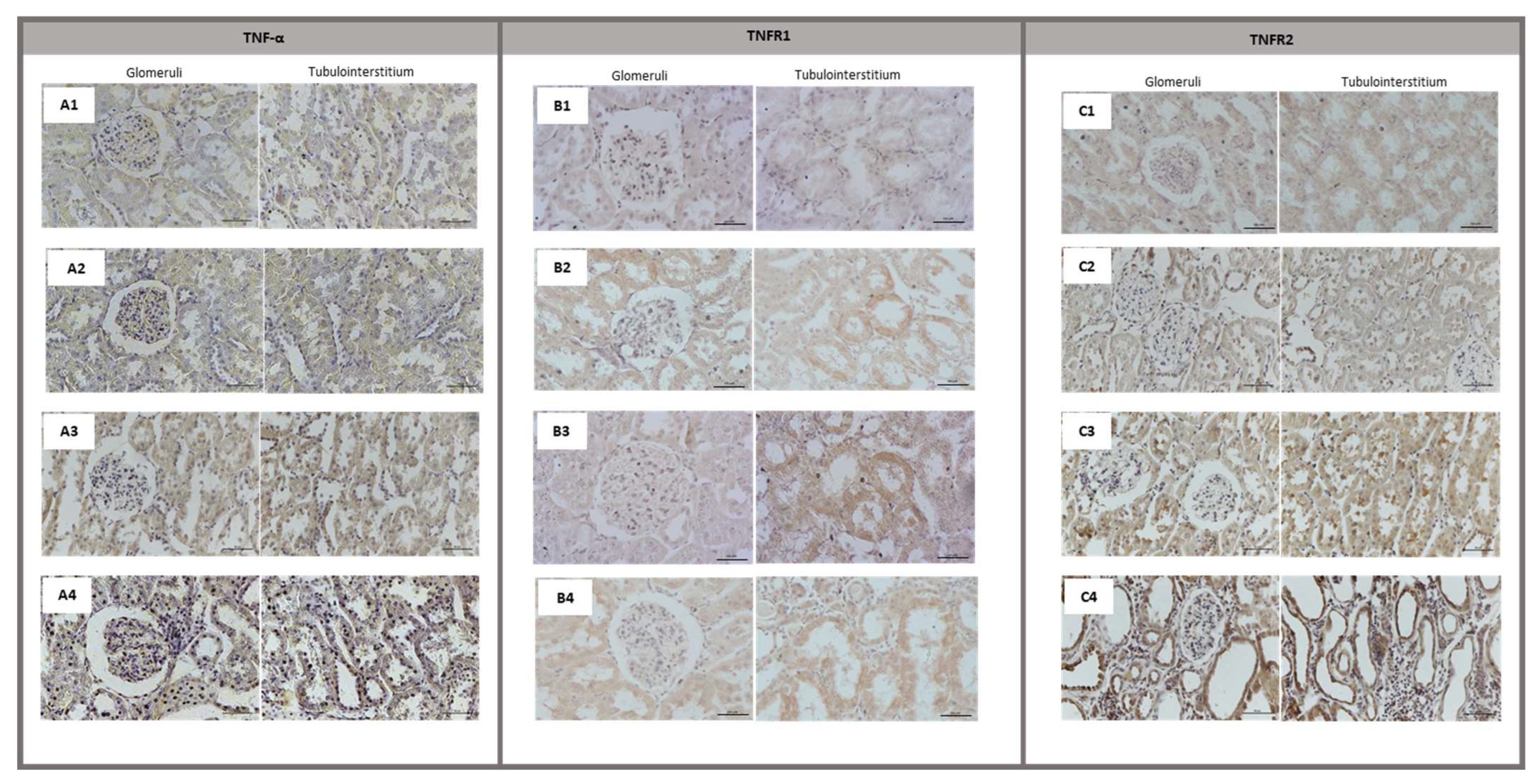 Biomolecules 13 00534 g003