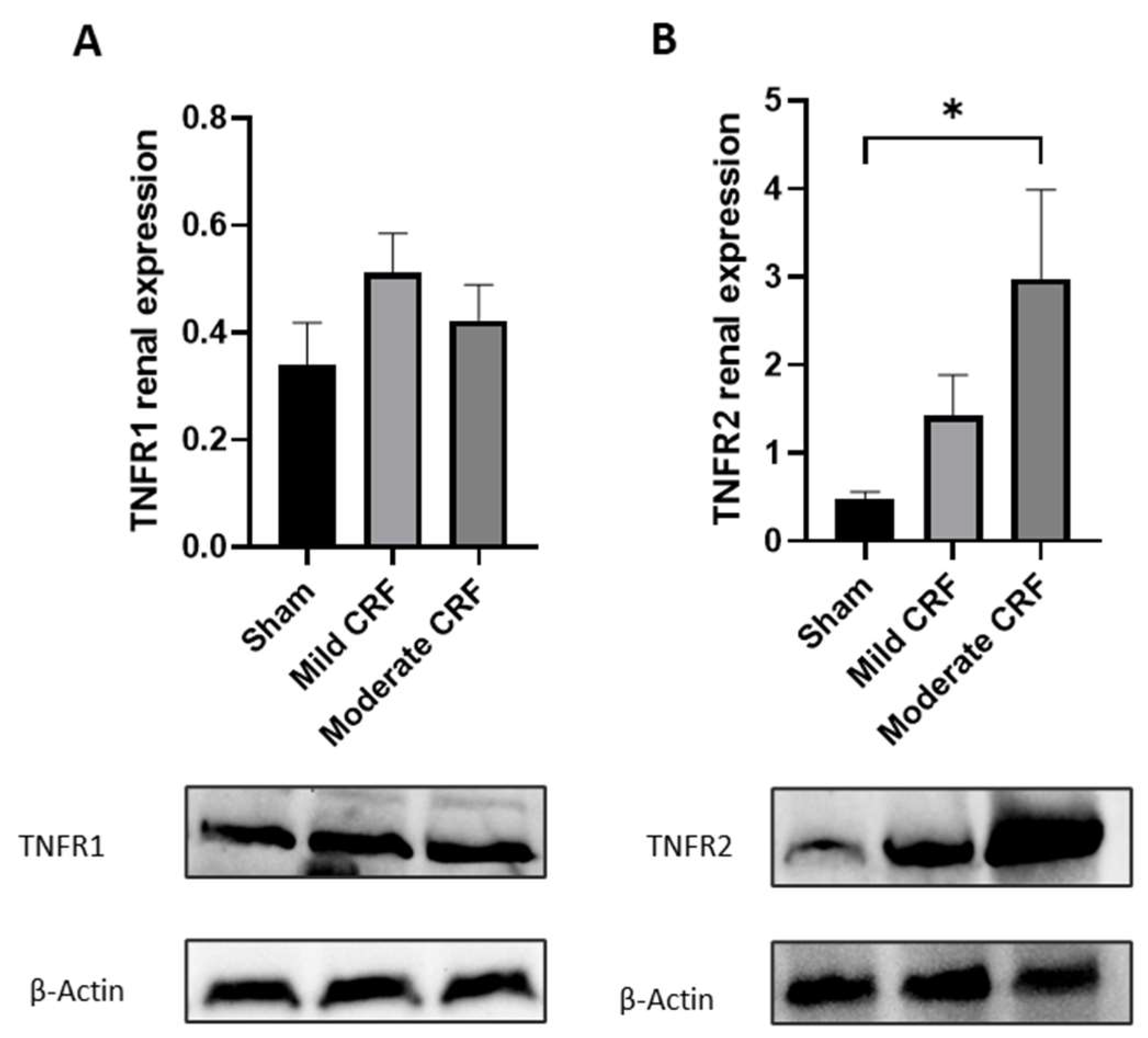 Biomolecules 13 00534 g004