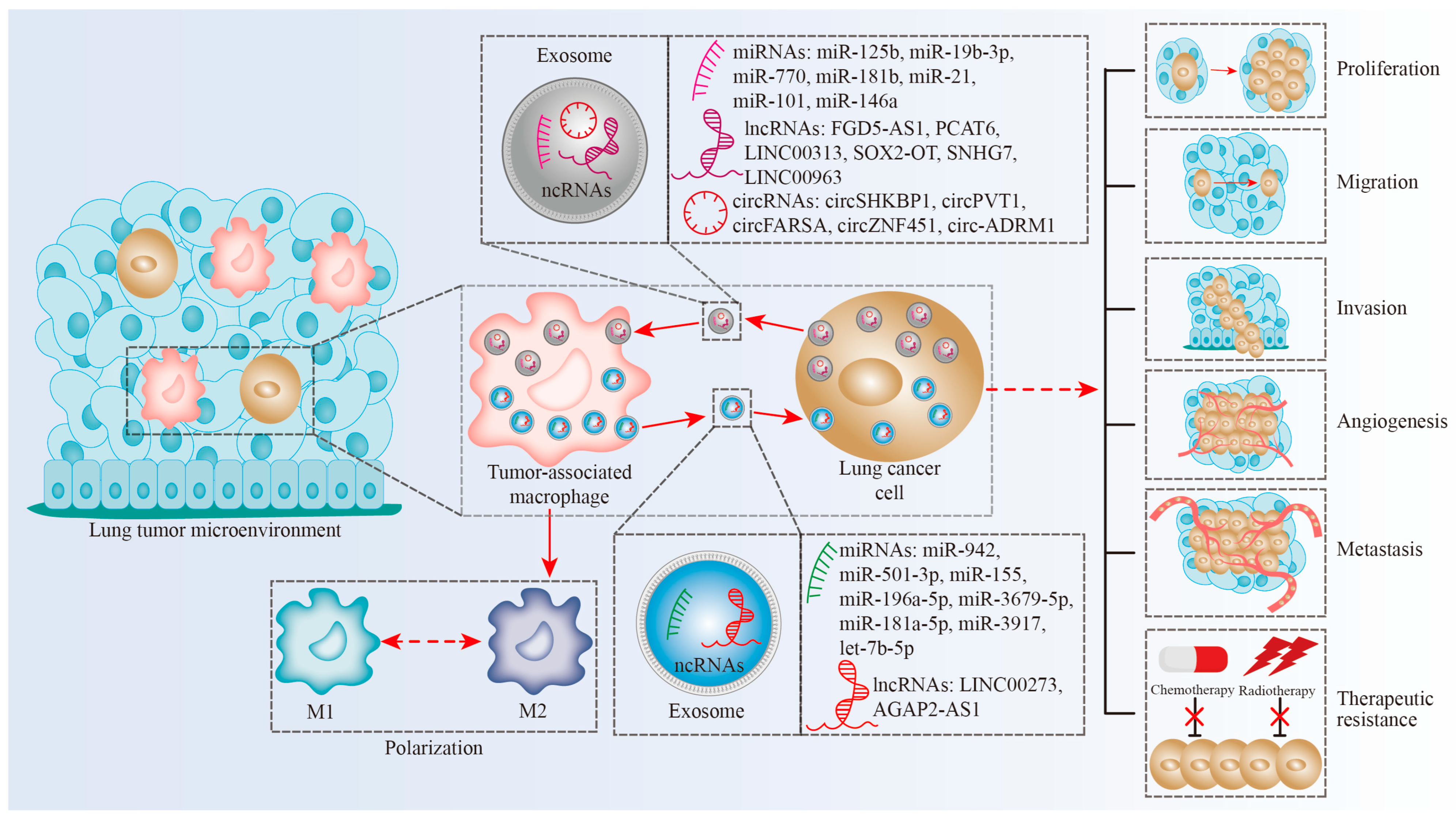 Biomolecules 13 00536 g001