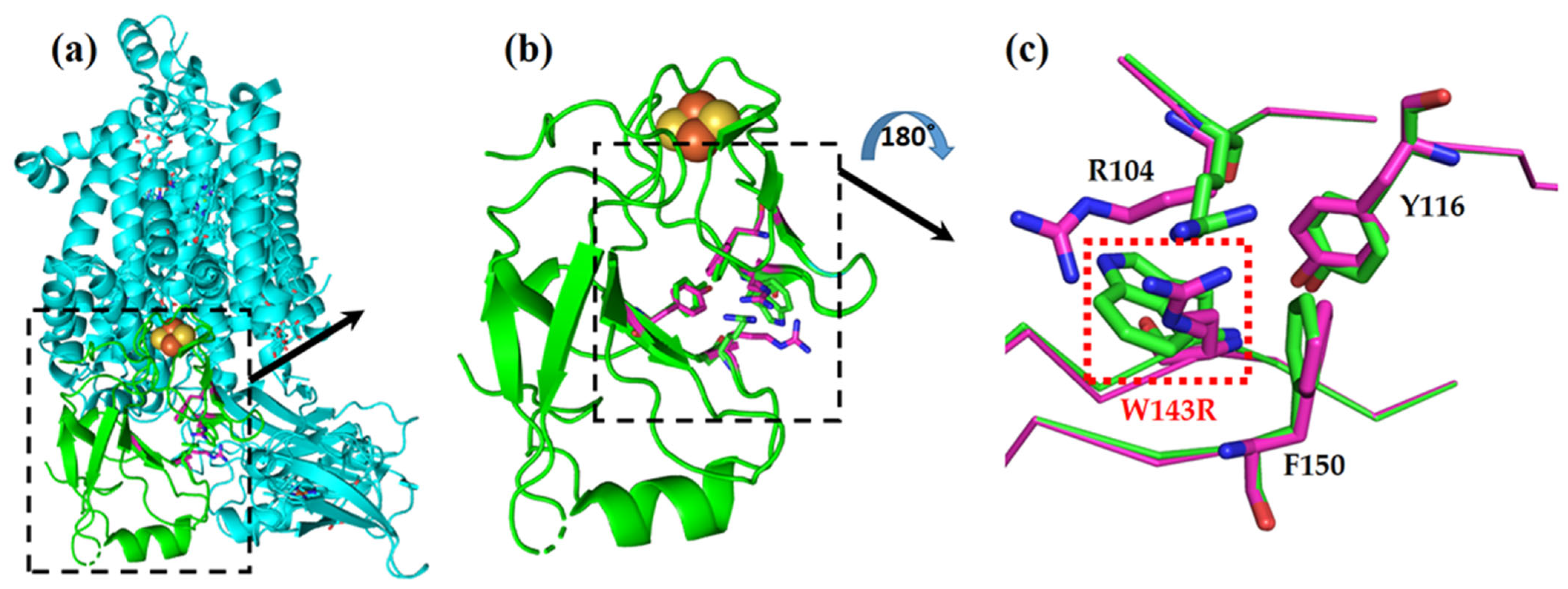 Biomolecules 13 00537 g004