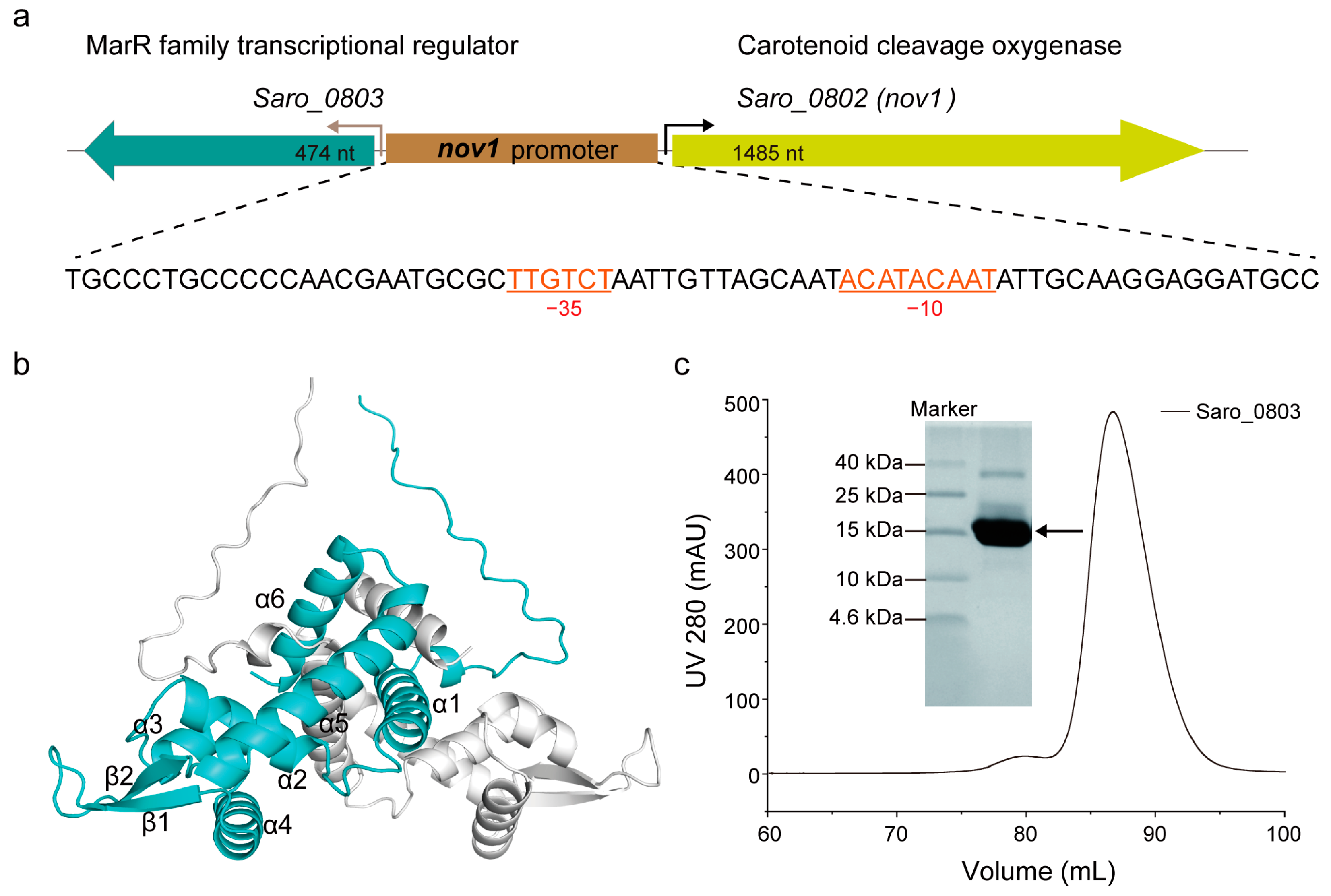 Biomolecules 13 00541 g001 Biomolecules 13 00541 g001