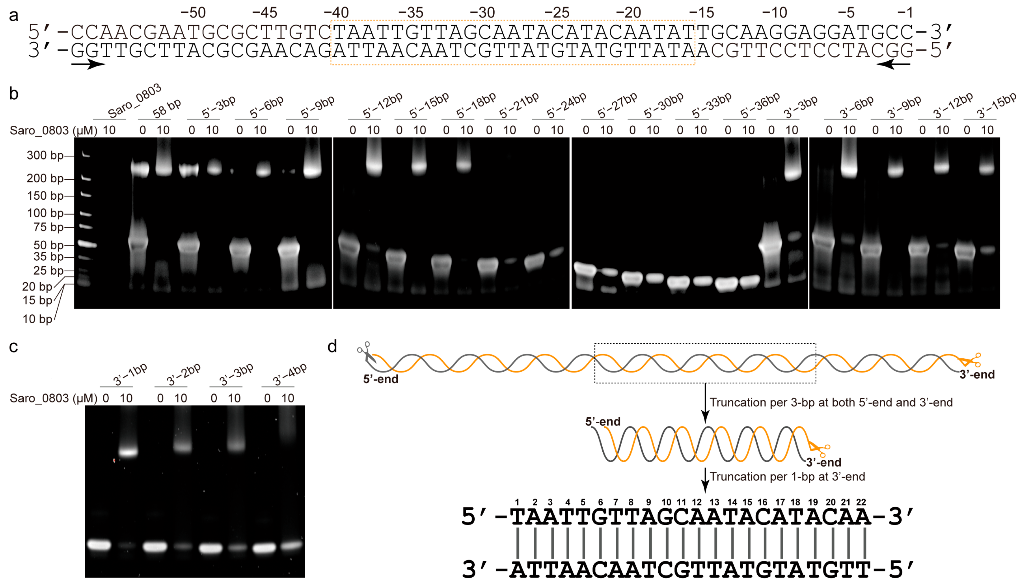 Biomolecules 13 00541 g002 Biomolecules 13 00541 g002