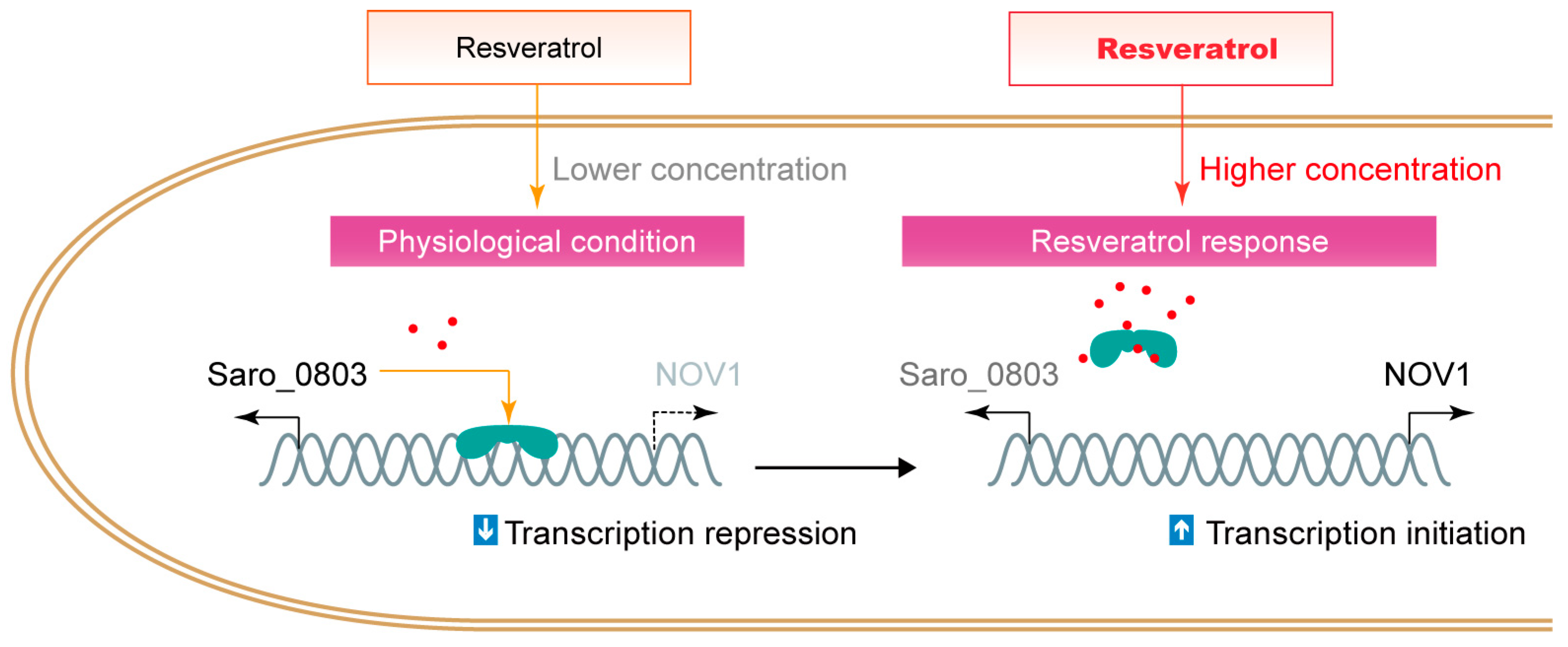 Biomolecules 13 00541 g006 Biomolecules 13 00541 g006