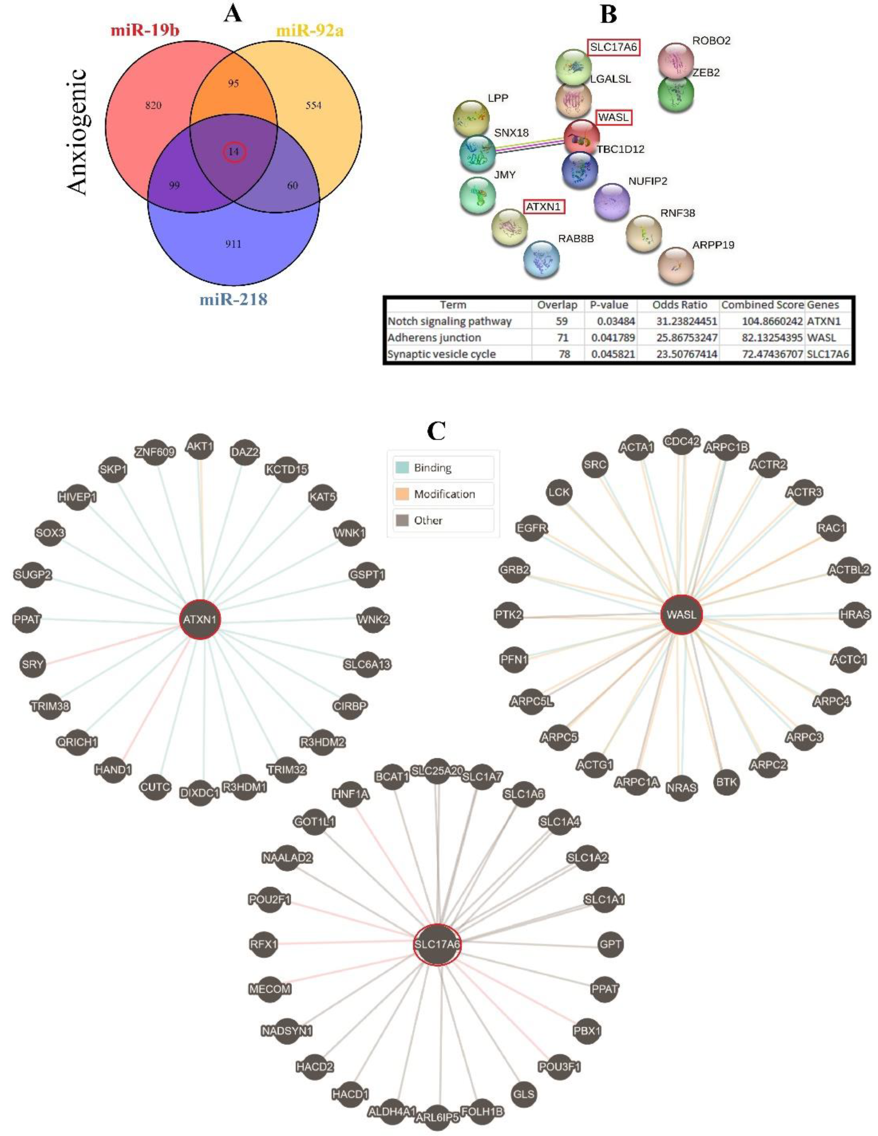 Biomolecules 13 00544 g003 Biomolecules 13 00544 g003