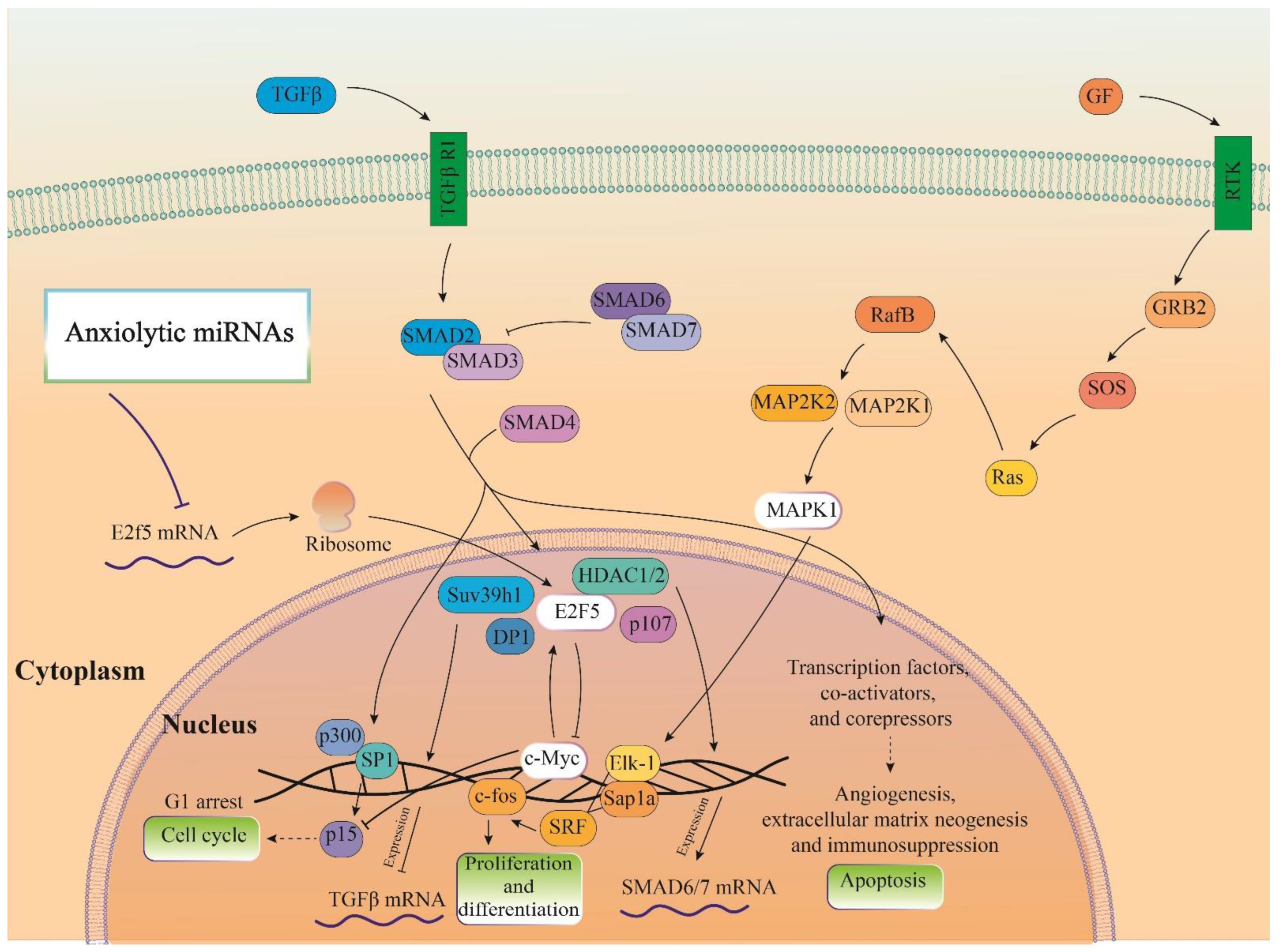 Biomolecules 13 00544 g006 Biomolecules 13 00544 g006