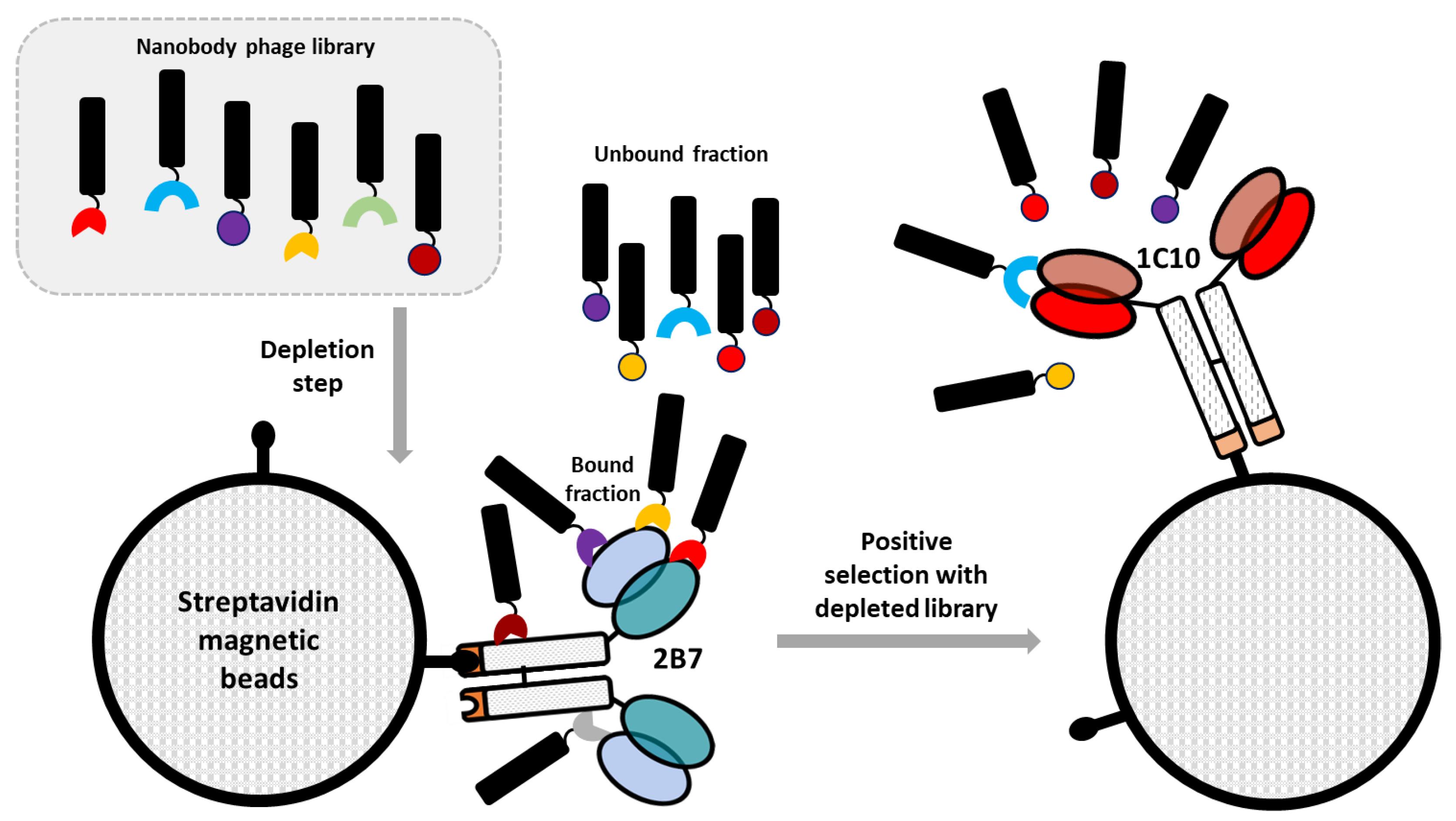 Biomolecules 13 00551 g002