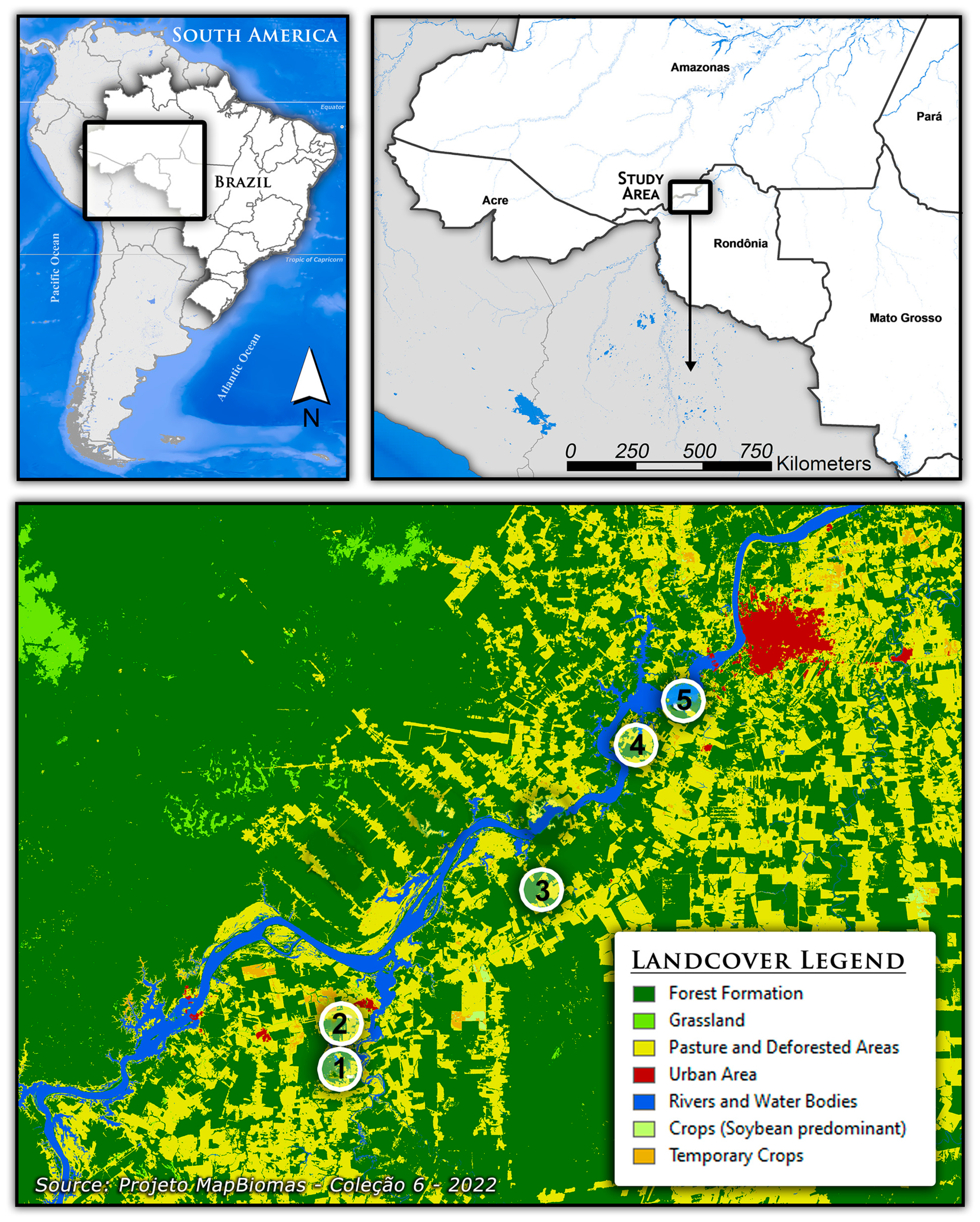 Biomolecules 13 00553 g001 Biomolecules 13 00553 g001