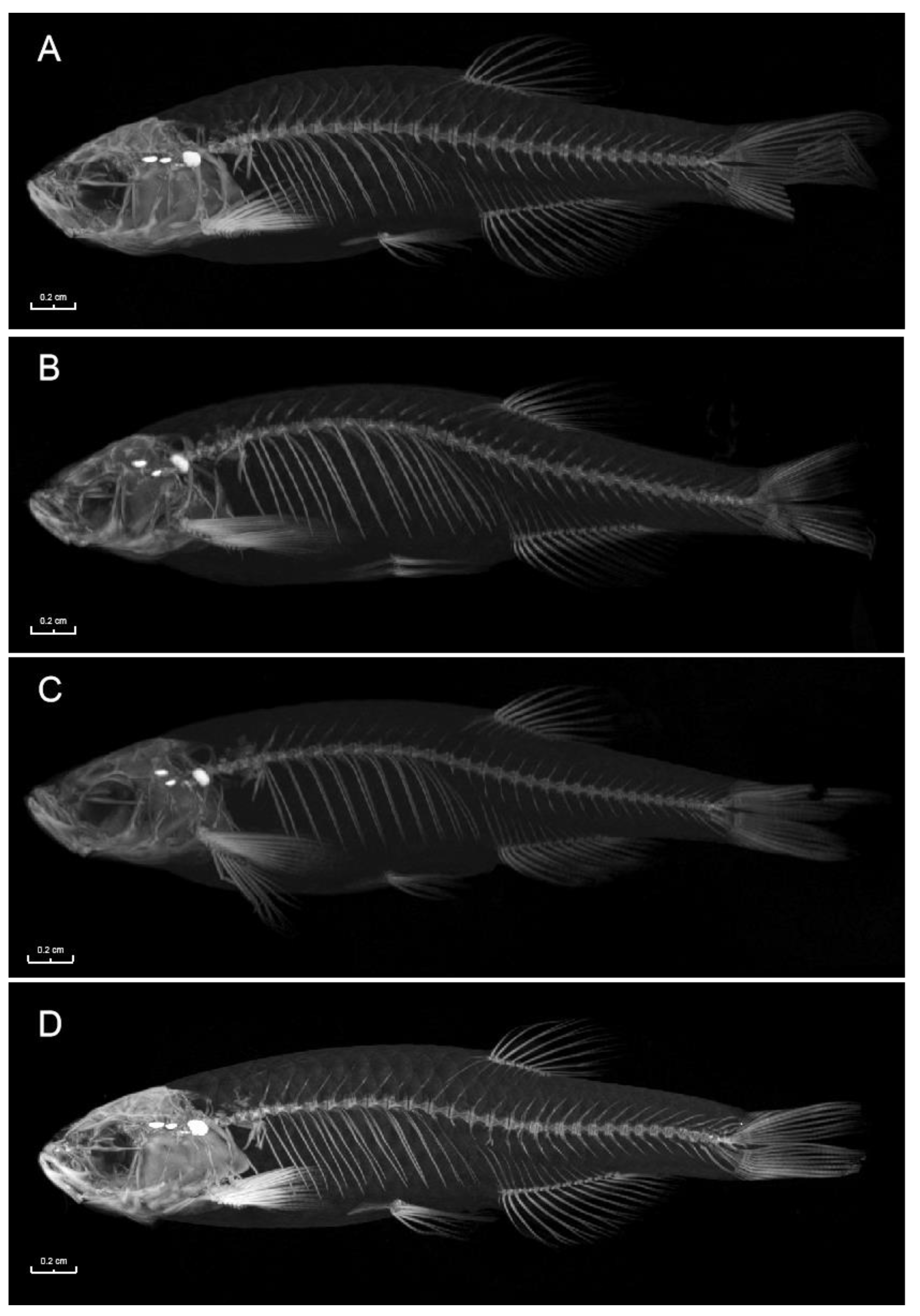Biomolecules 13 00554 g005