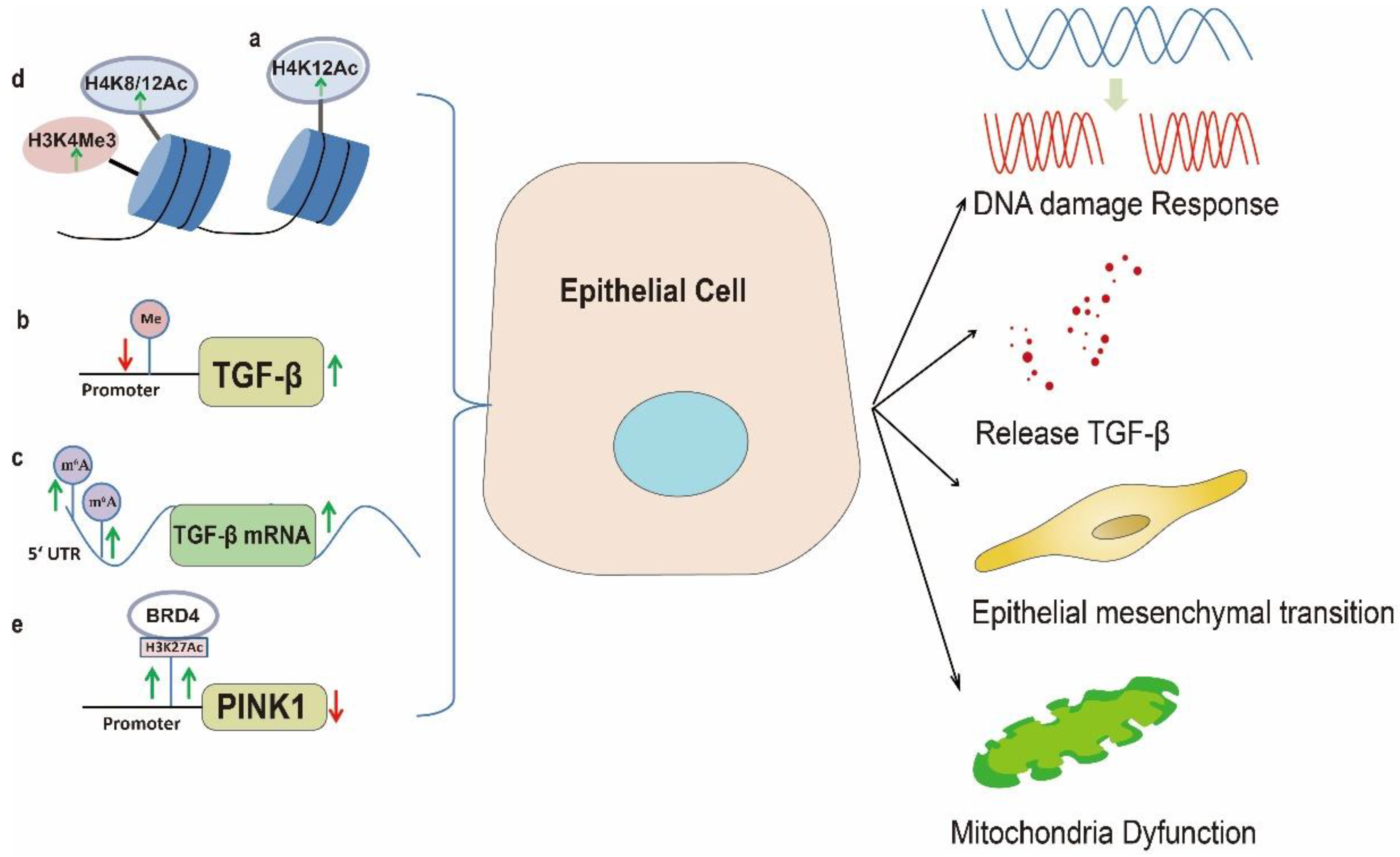 Biomolecules 13 00558 g001 Biomolecules 13 00558 g001