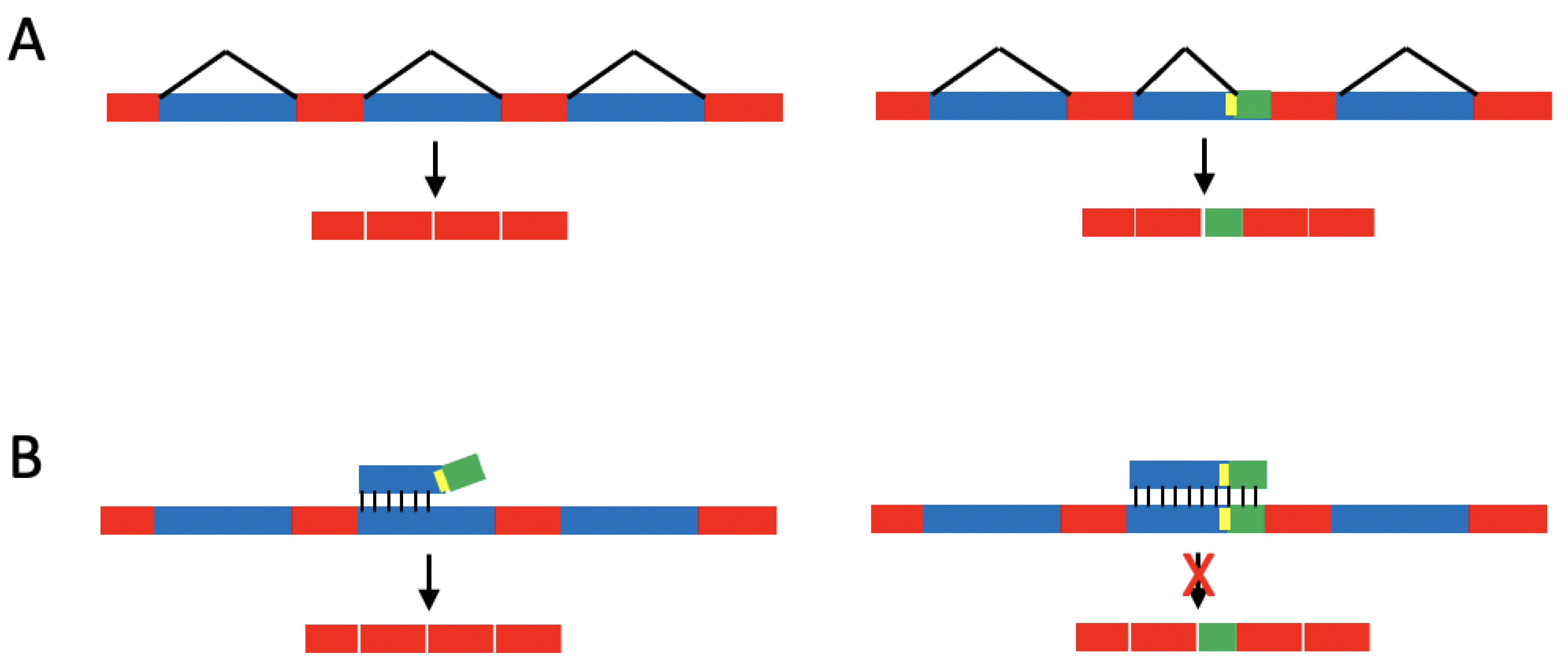 Biomolecules 13 00561 g003 Biomolecules 13 00561 g003
