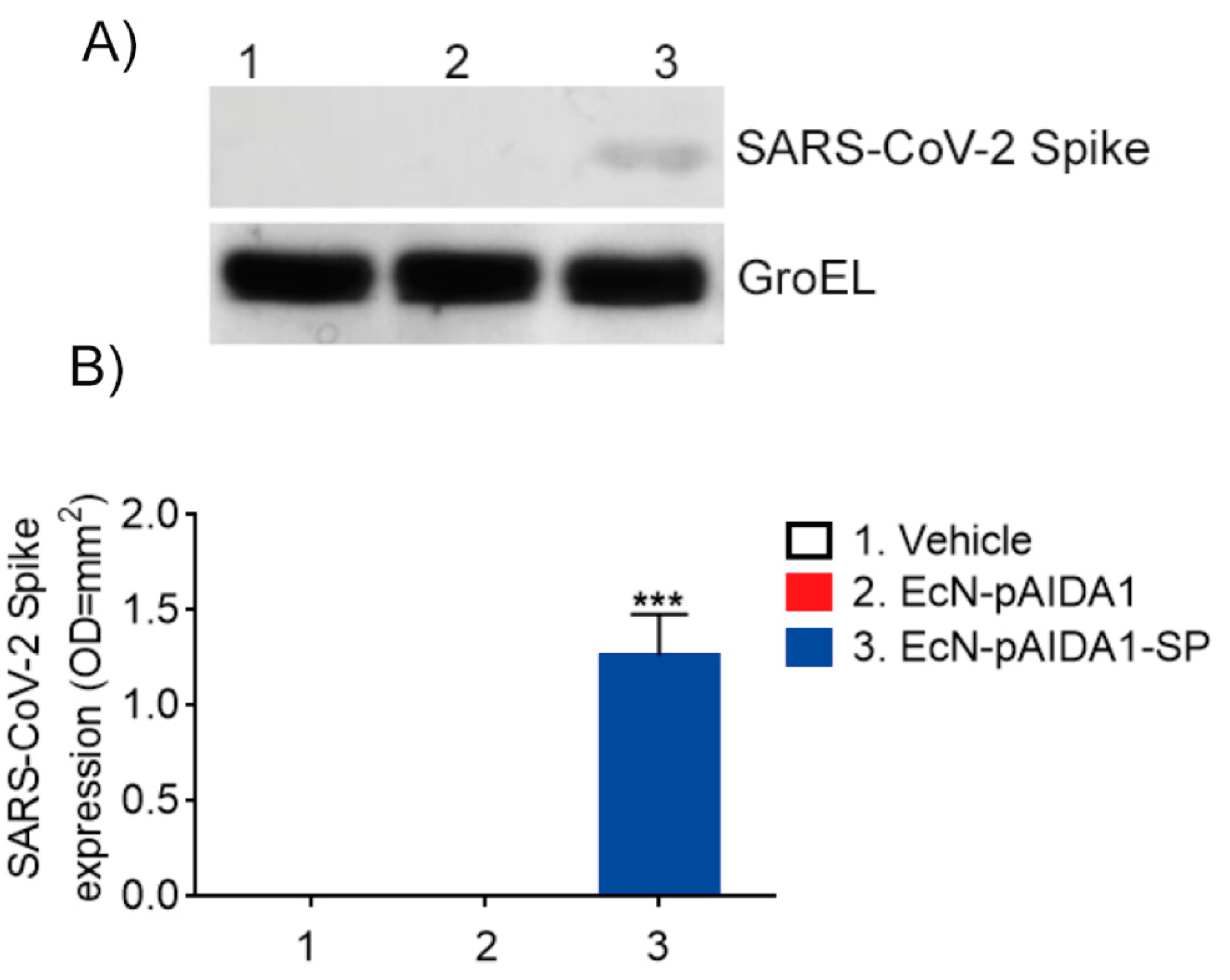 Biomolecules 13 00569 g002 Biomolecules 13 00569 g002