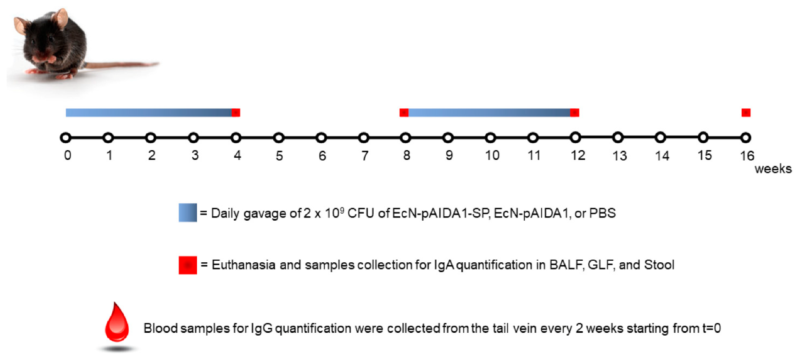 Biomolecules 13 00569 sch001 Biomolecules 13 00569 sch001