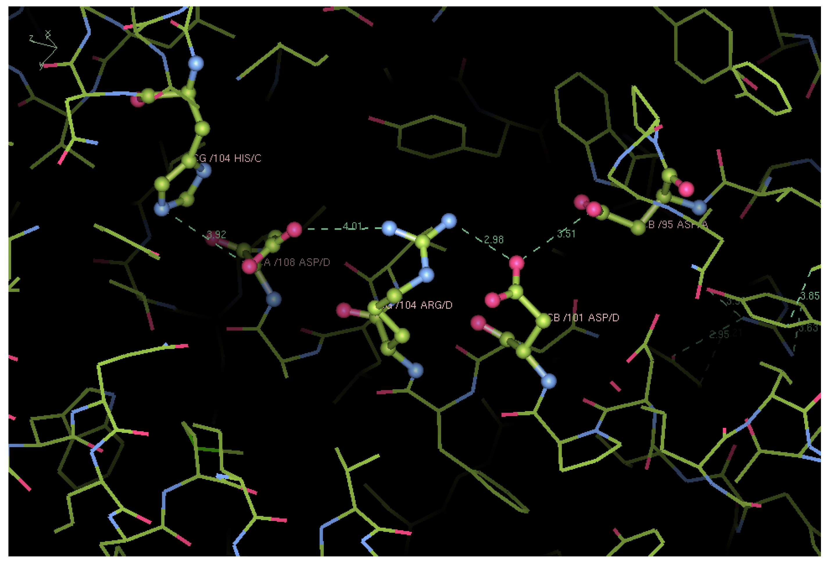 Biomolecules 13 00572 g003 Biomolecules 13 00572 g003