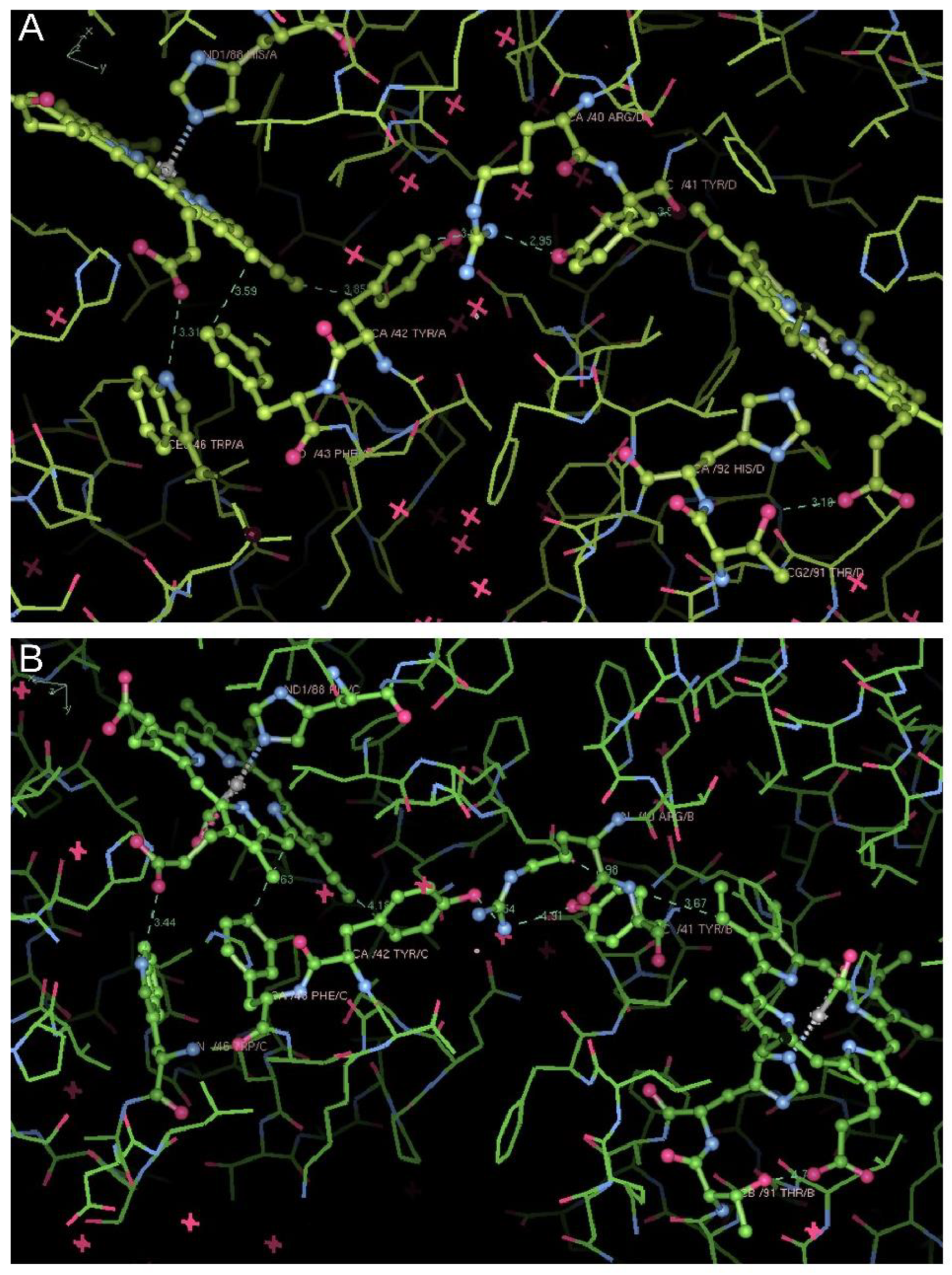 Biomolecules 13 00572 g004 Biomolecules 13 00572 g004