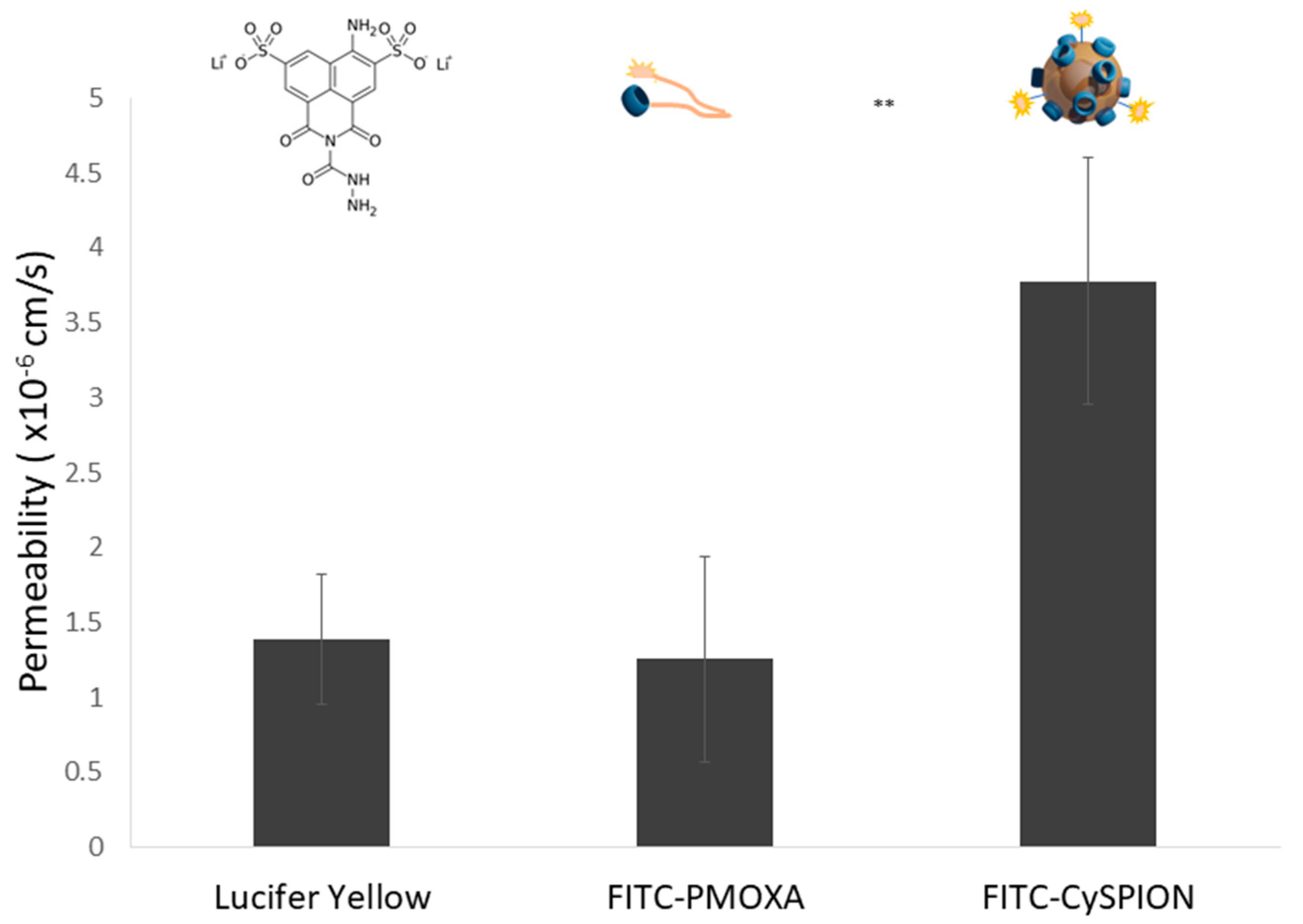 Biomolecules 13 00573 g006