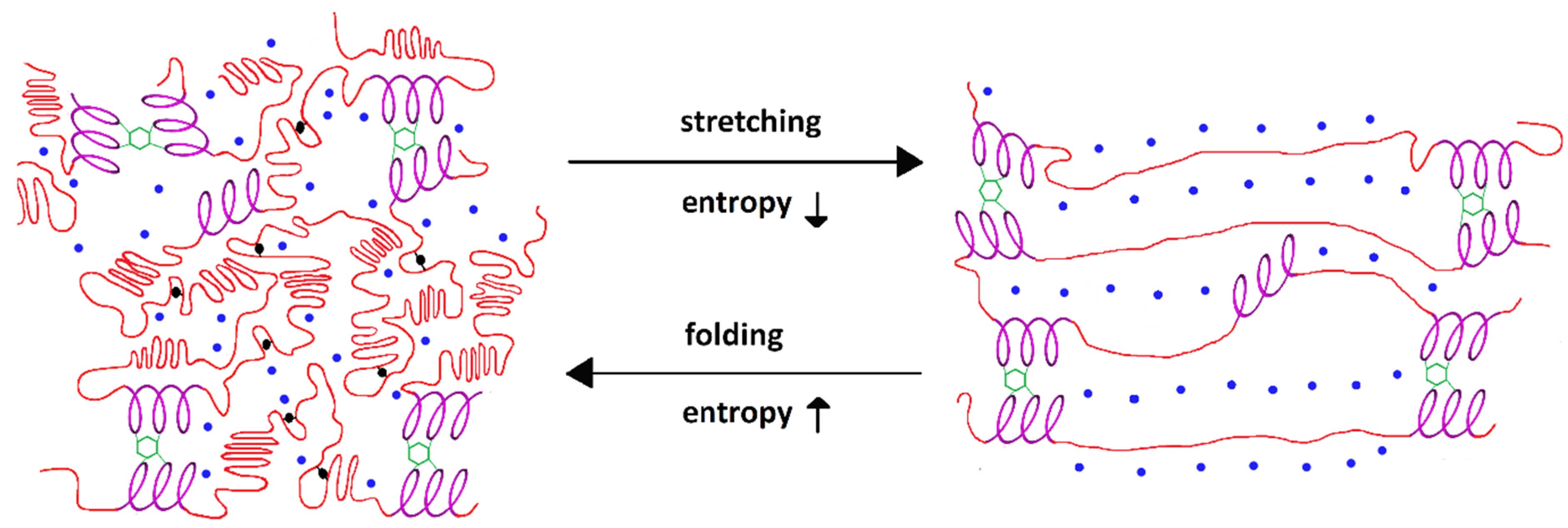 Elastic fibers structure
