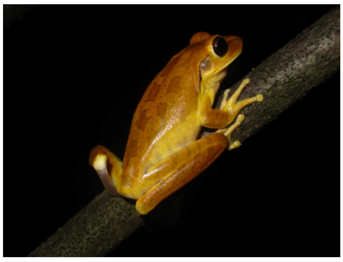 Biomolecules 13 00576 g001 Biomolecules 13 00576 g001