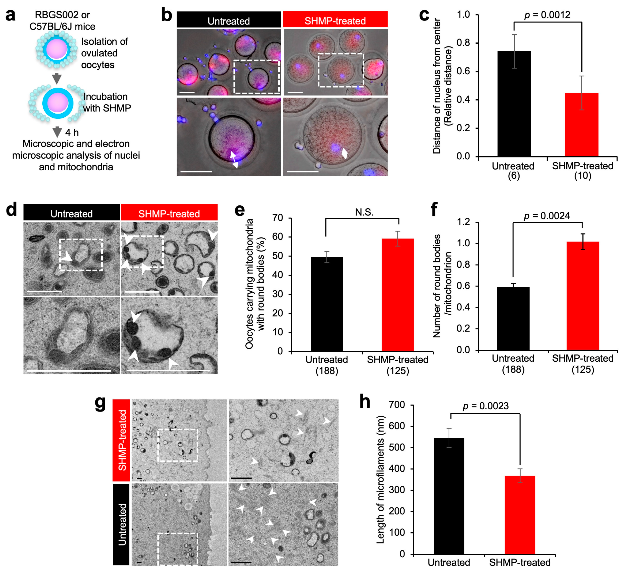 Biomolecules 13 00577 g004 Biomolecules 13 00577 g004