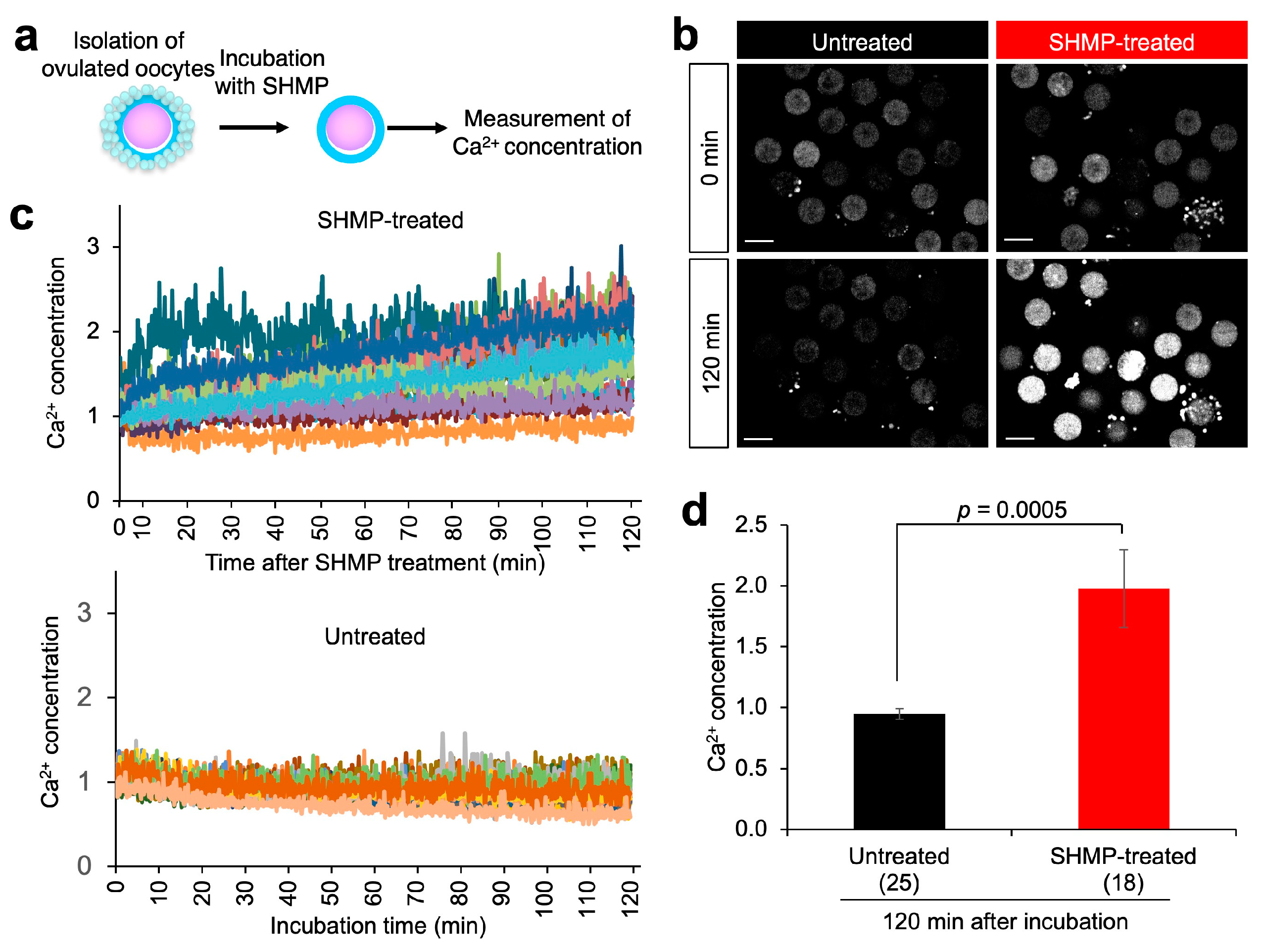 Biomolecules 13 00577 g005 Biomolecules 13 00577 g005