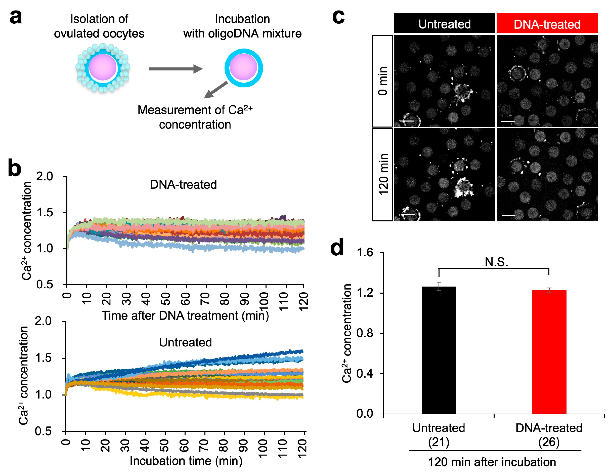 Biomolecules 13 00577 g006 Biomolecules 13 00577 g006