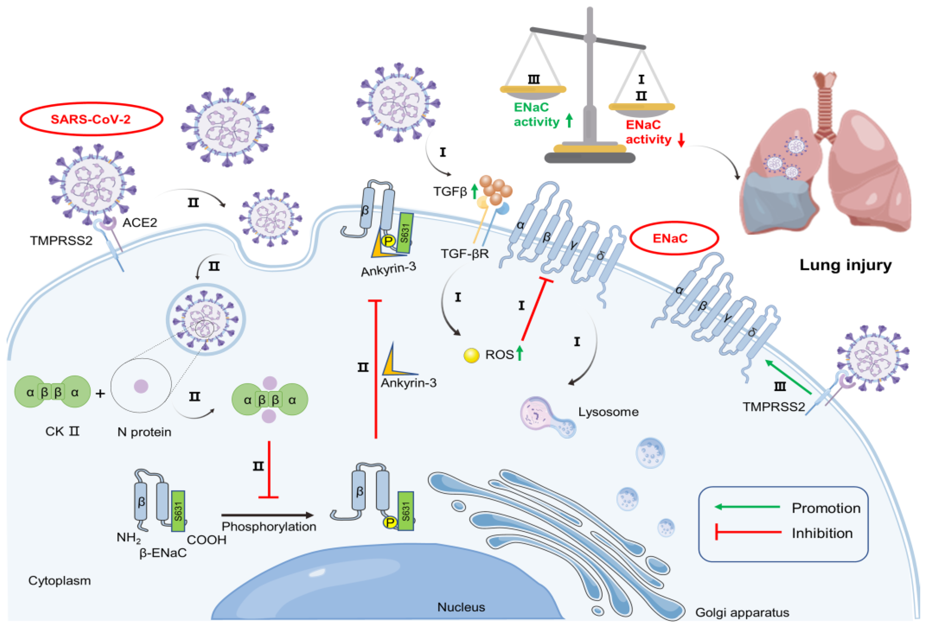 Biomolecules 13 00578 g001 Biomolecules 13 00578 g001
