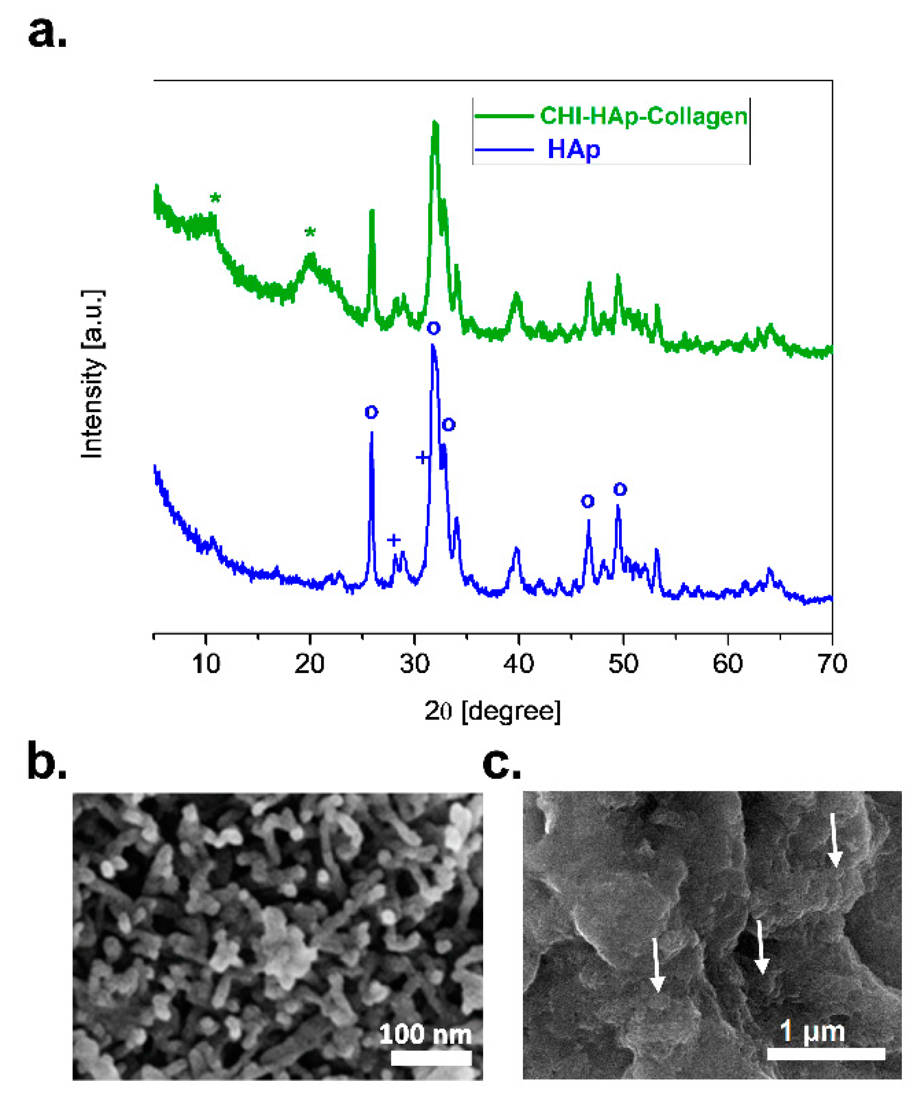 Biomolecules 13 00579 g001 Biomolecules 13 00579 g001