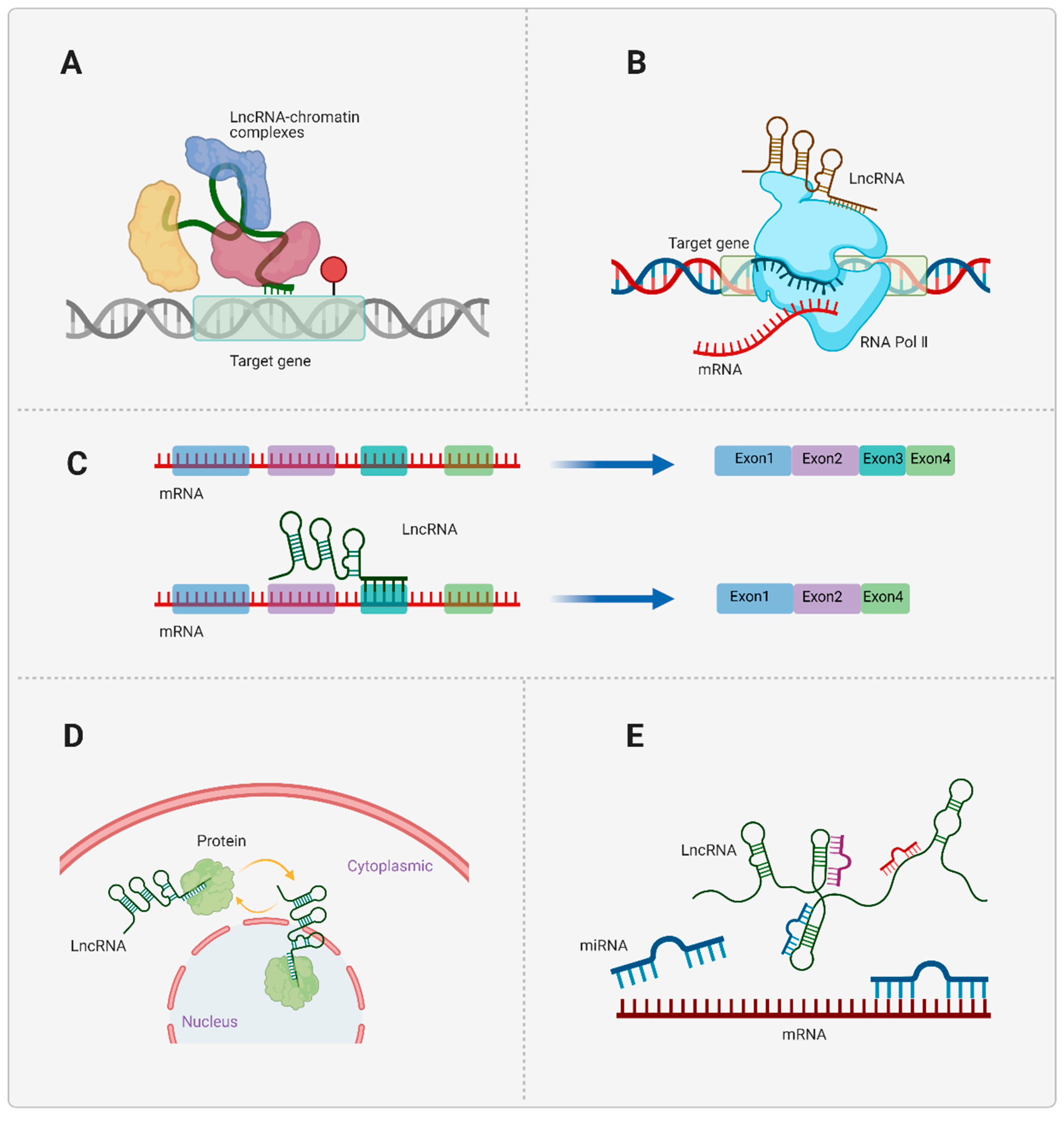 Biomolecules 13 00580 g002