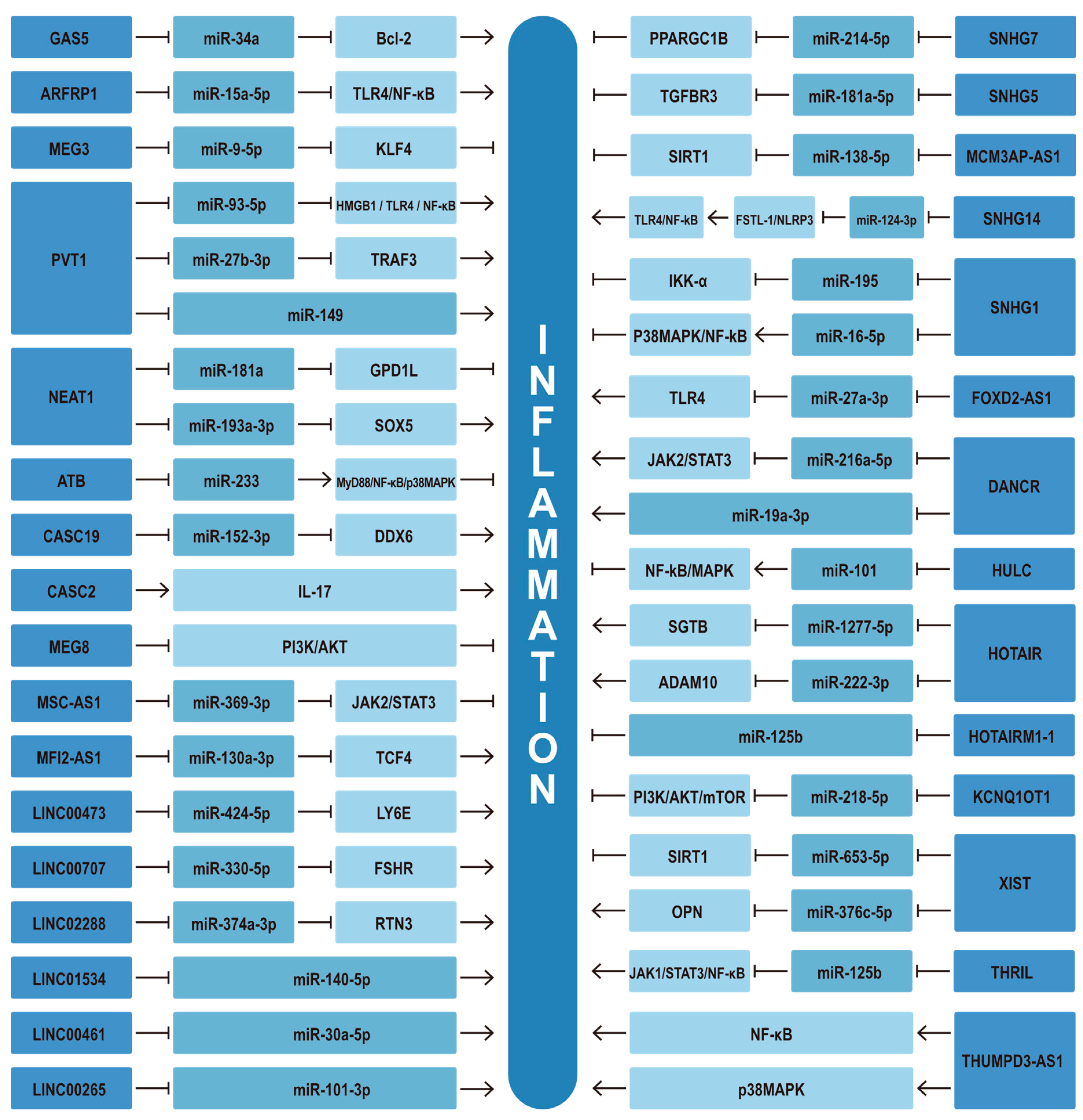 Biomolecules 13 00580 g003
