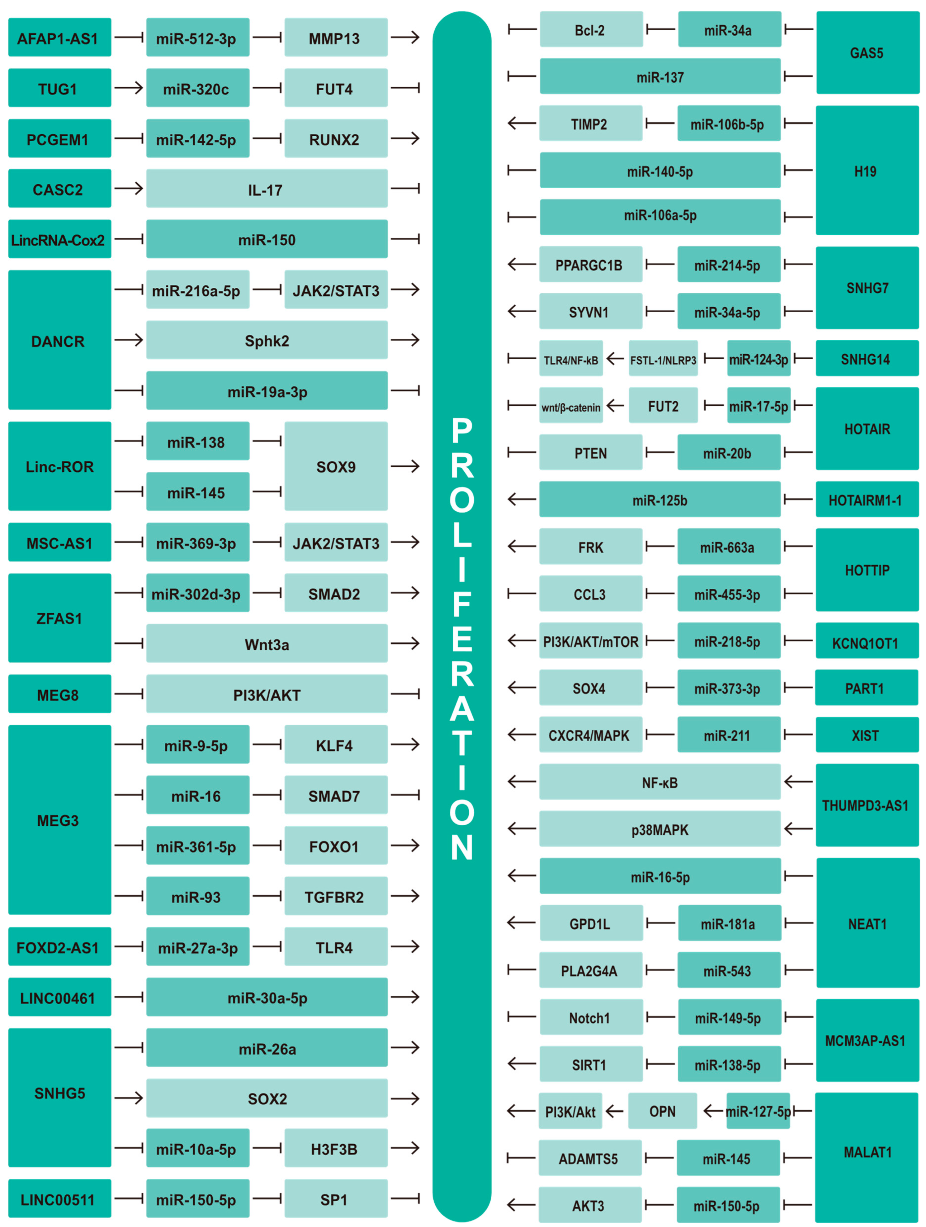 Biomolecules 13 00580 g005